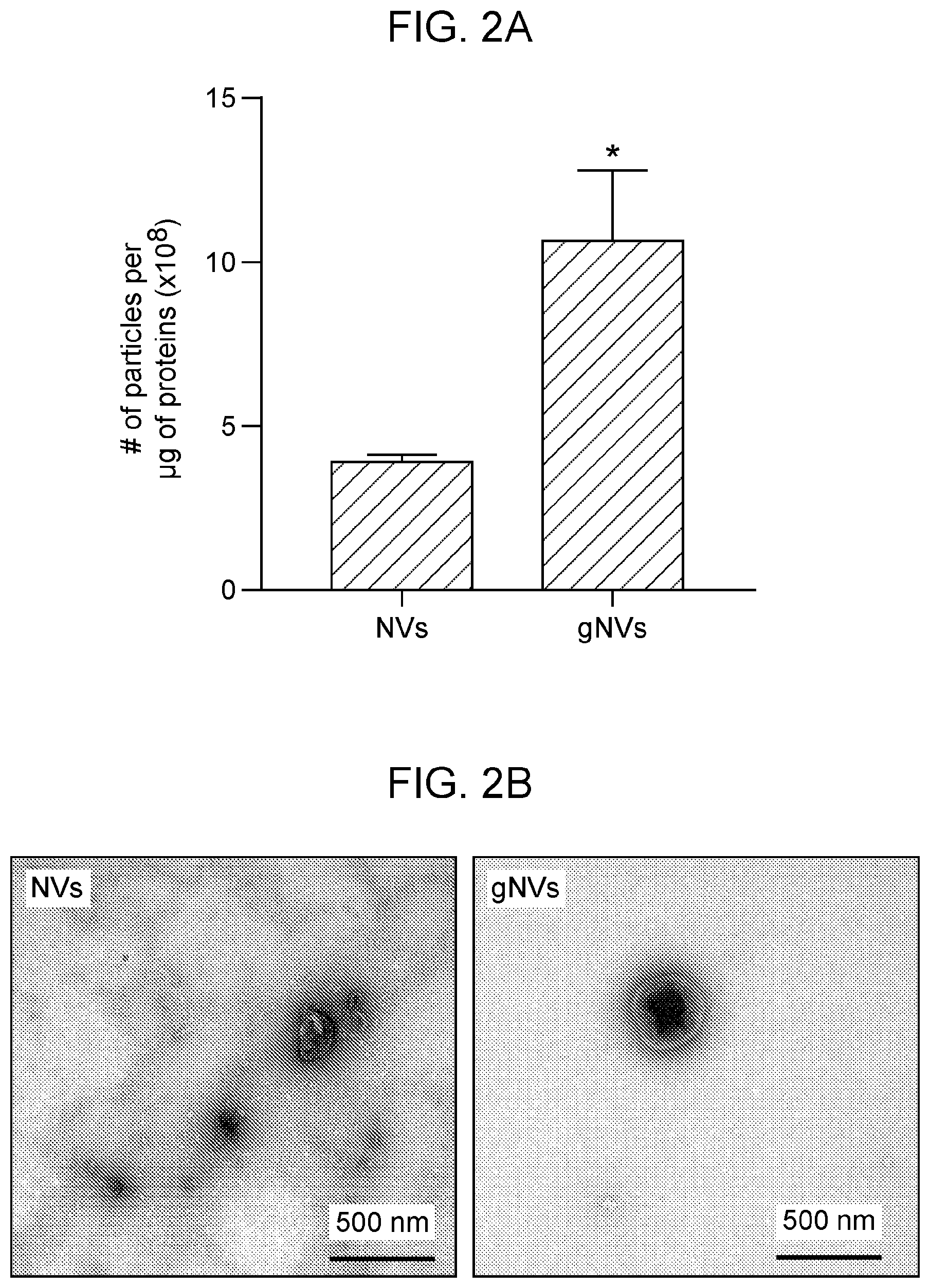 Patent US12564608 Figure 2 – Use of ghost nanovesicles as therapeutics