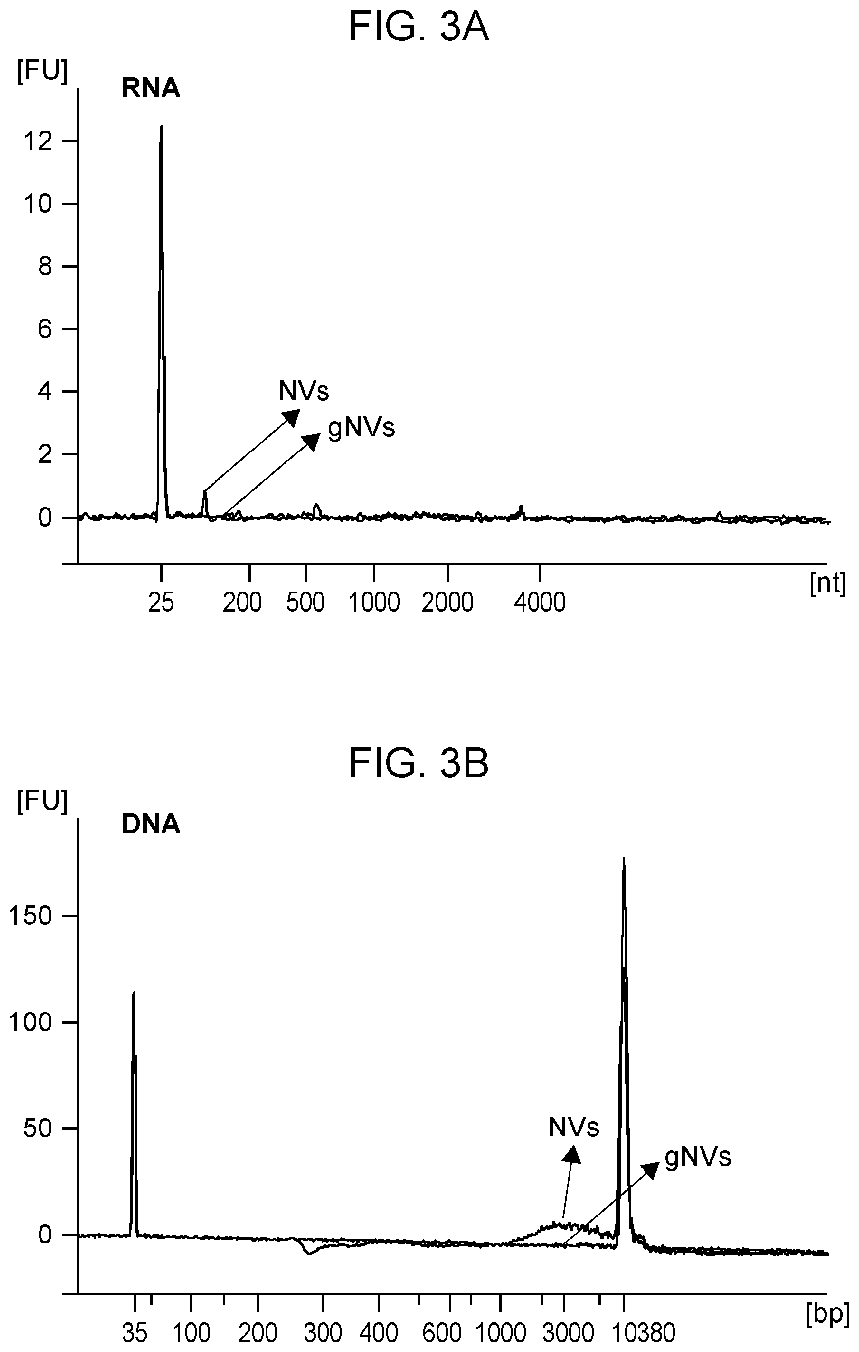 Patent US12564608 Figure 3 – Use of ghost nanovesicles as therapeutics