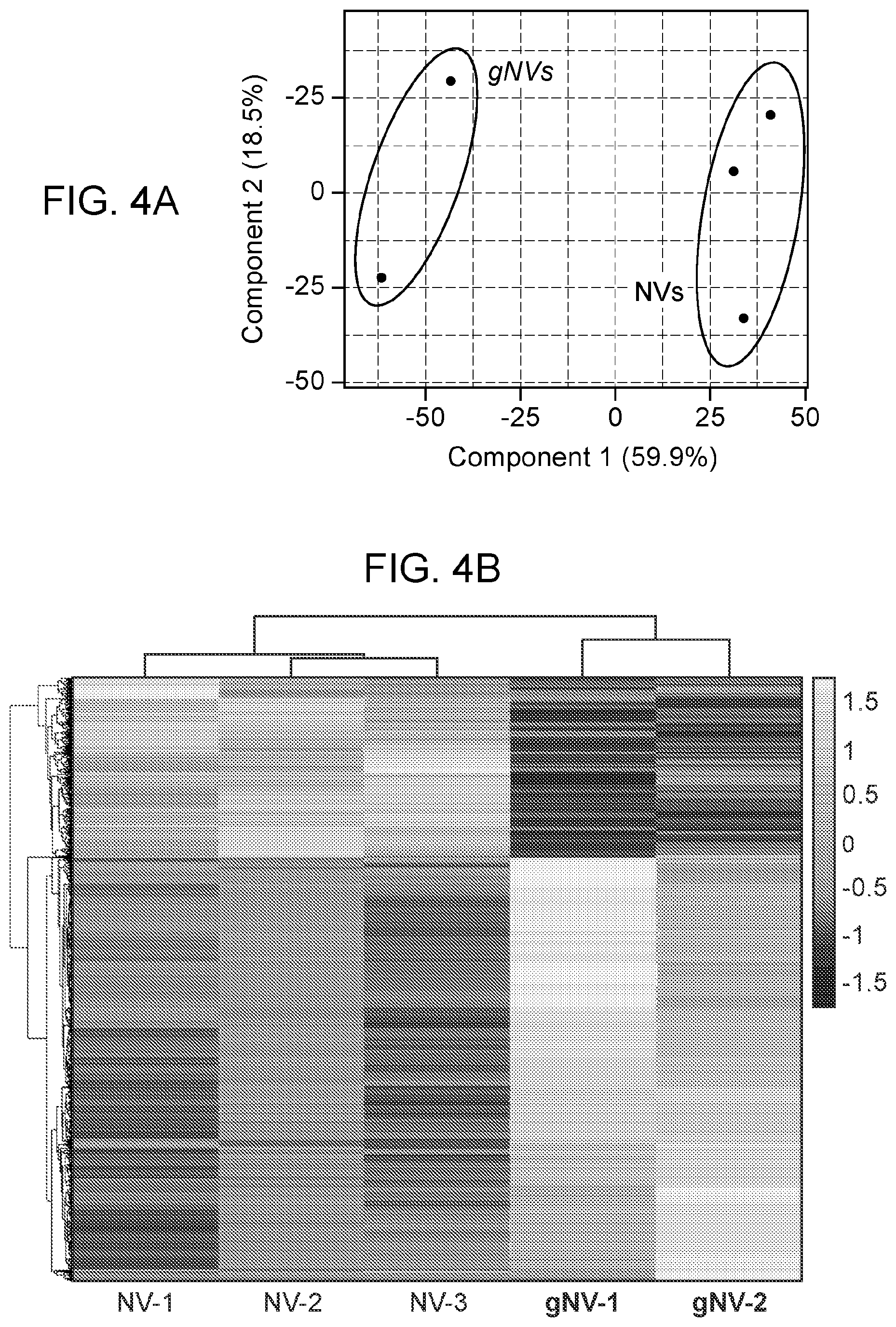 Patent US12564608 Figure 4 – Use of ghost nanovesicles as therapeutics
