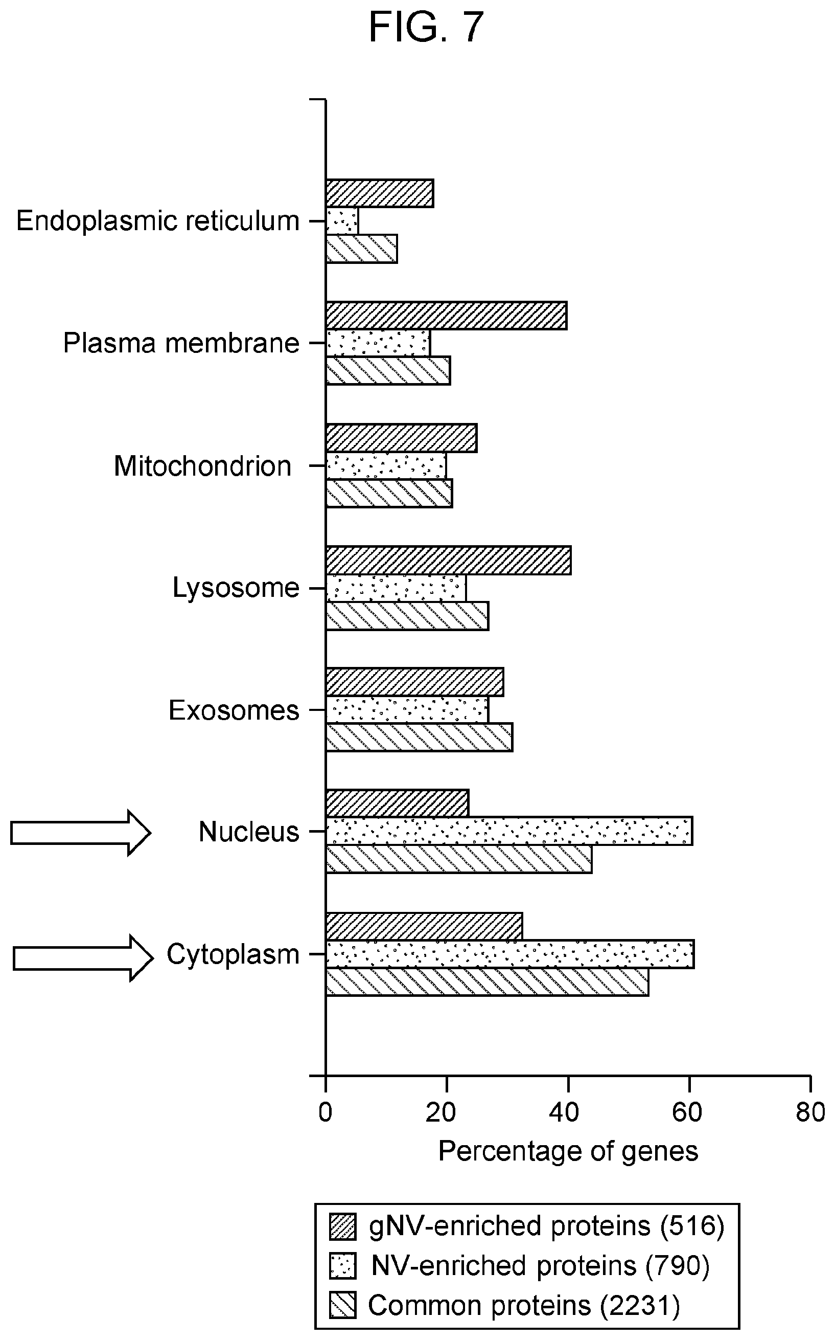 Patent US12564608 Figure 7 – Use of ghost nanovesicles as therapeutics