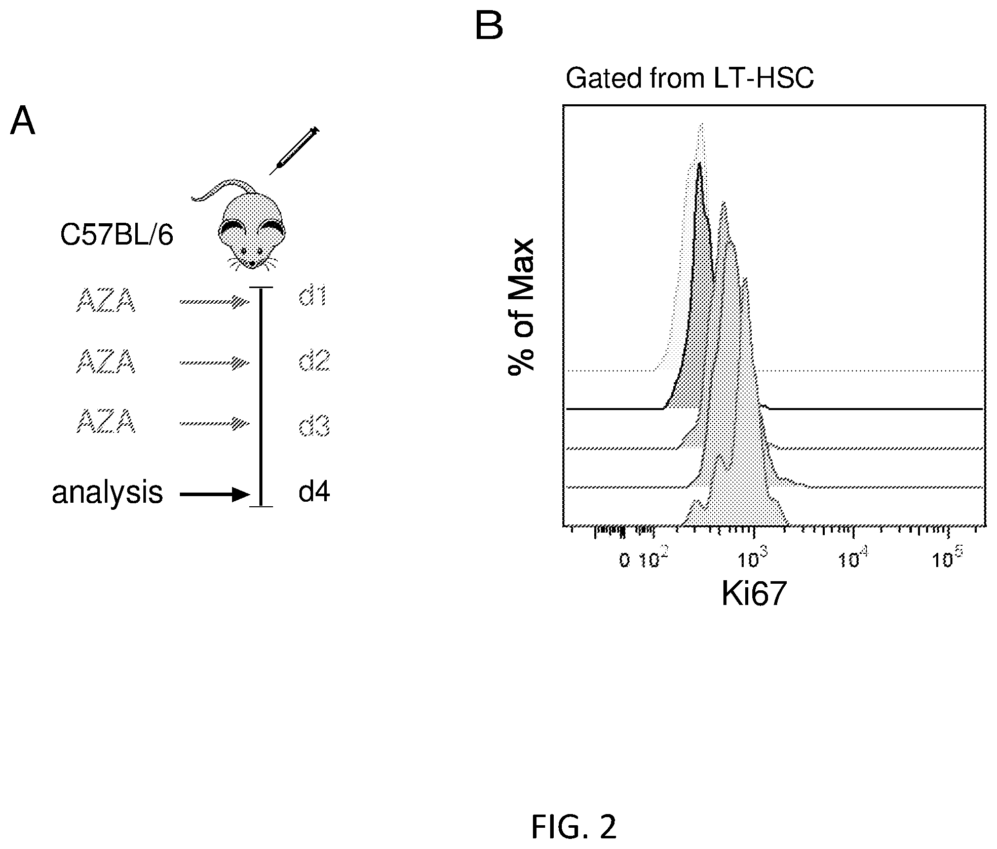Patent US12564609 Figure 7 – Hematopoietic stem cell engraftment with a combination of agents
