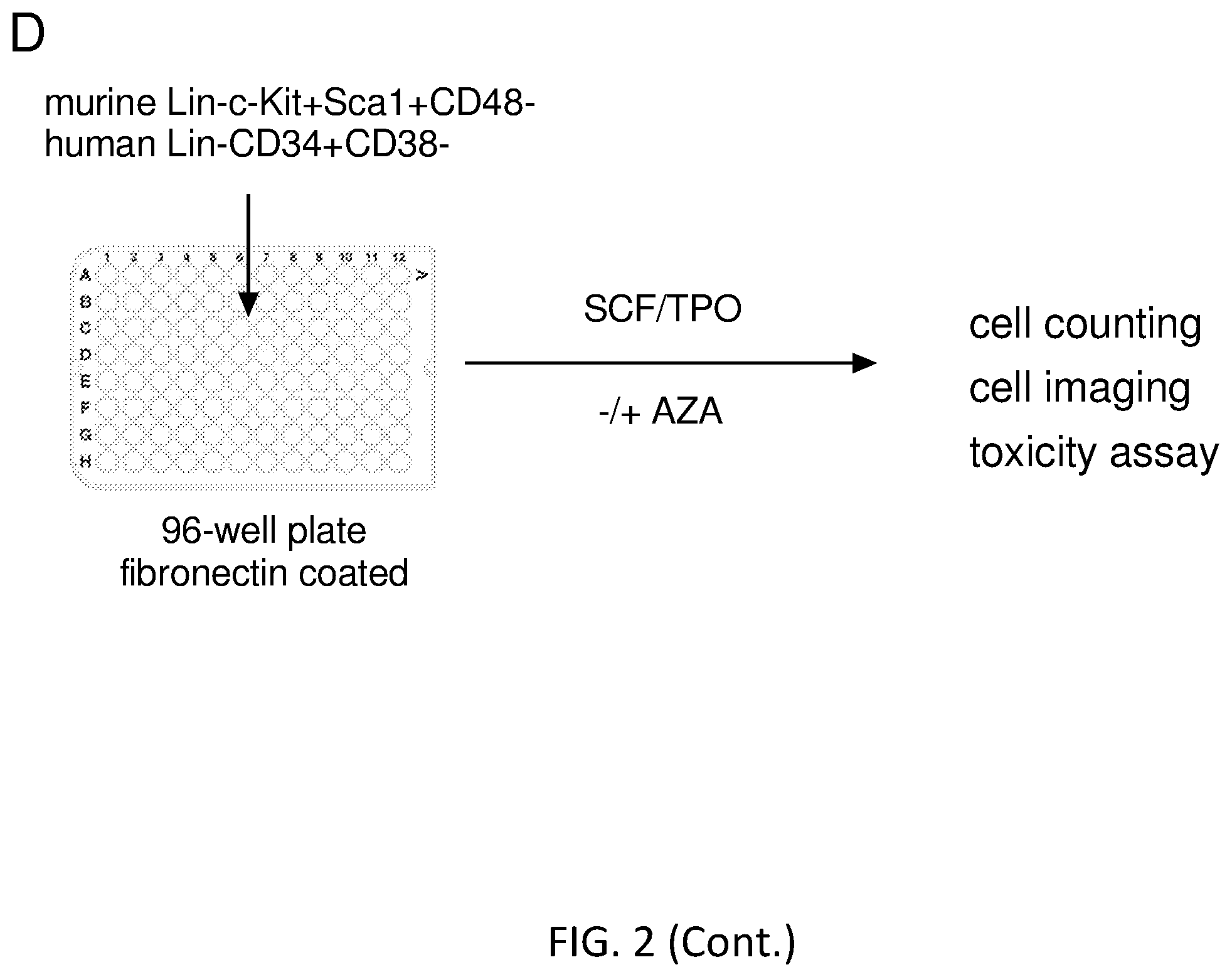 Patent US12564609 Figure 9 – Hematopoietic stem cell engraftment with a combination of agents