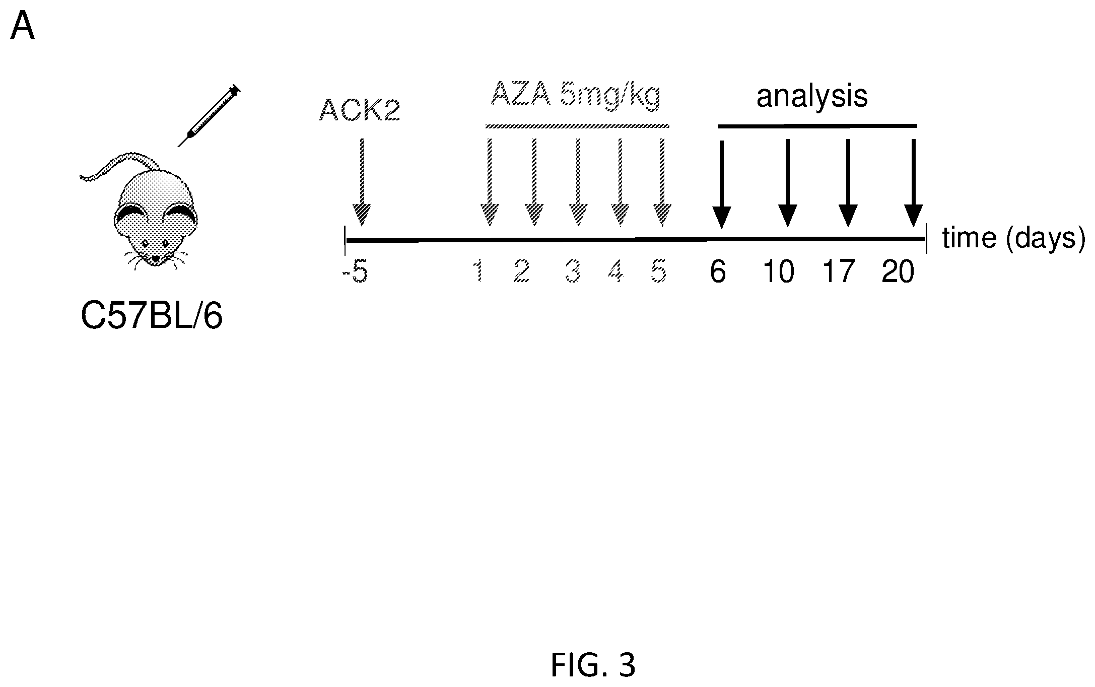 Patent US12564609 Figure 11 – Hematopoietic stem cell engraftment with a combination of agents