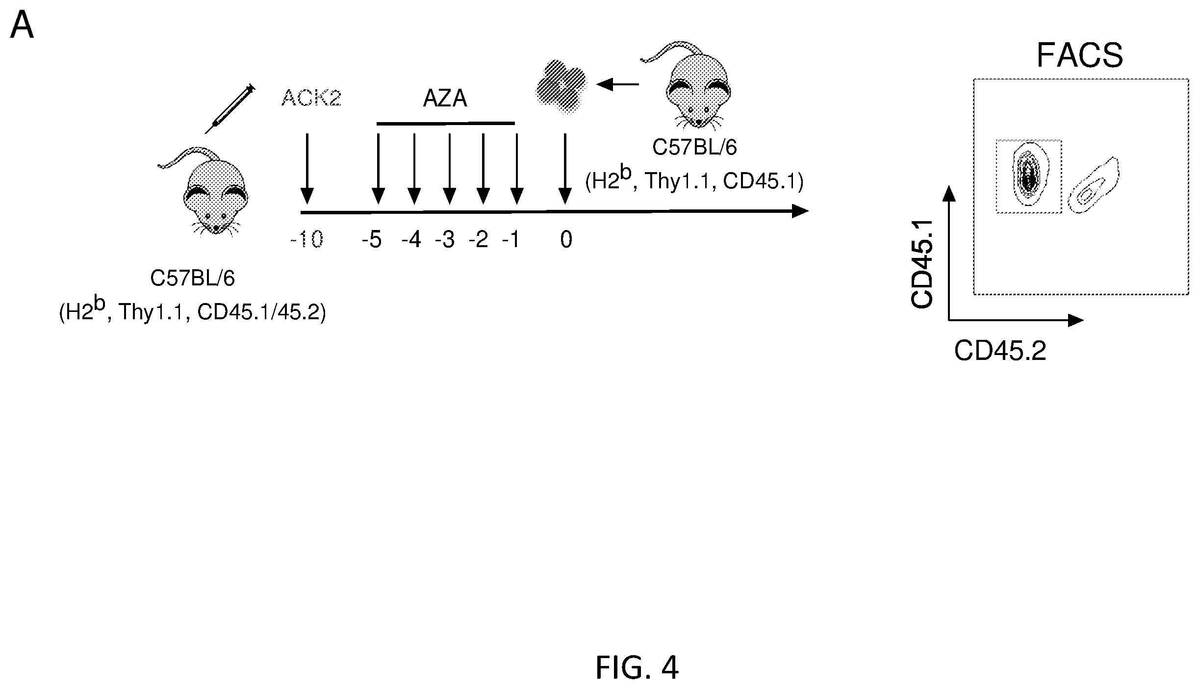 Patent US12564609 Figure 18 – Hematopoietic stem cell engraftment with a combination of agents
