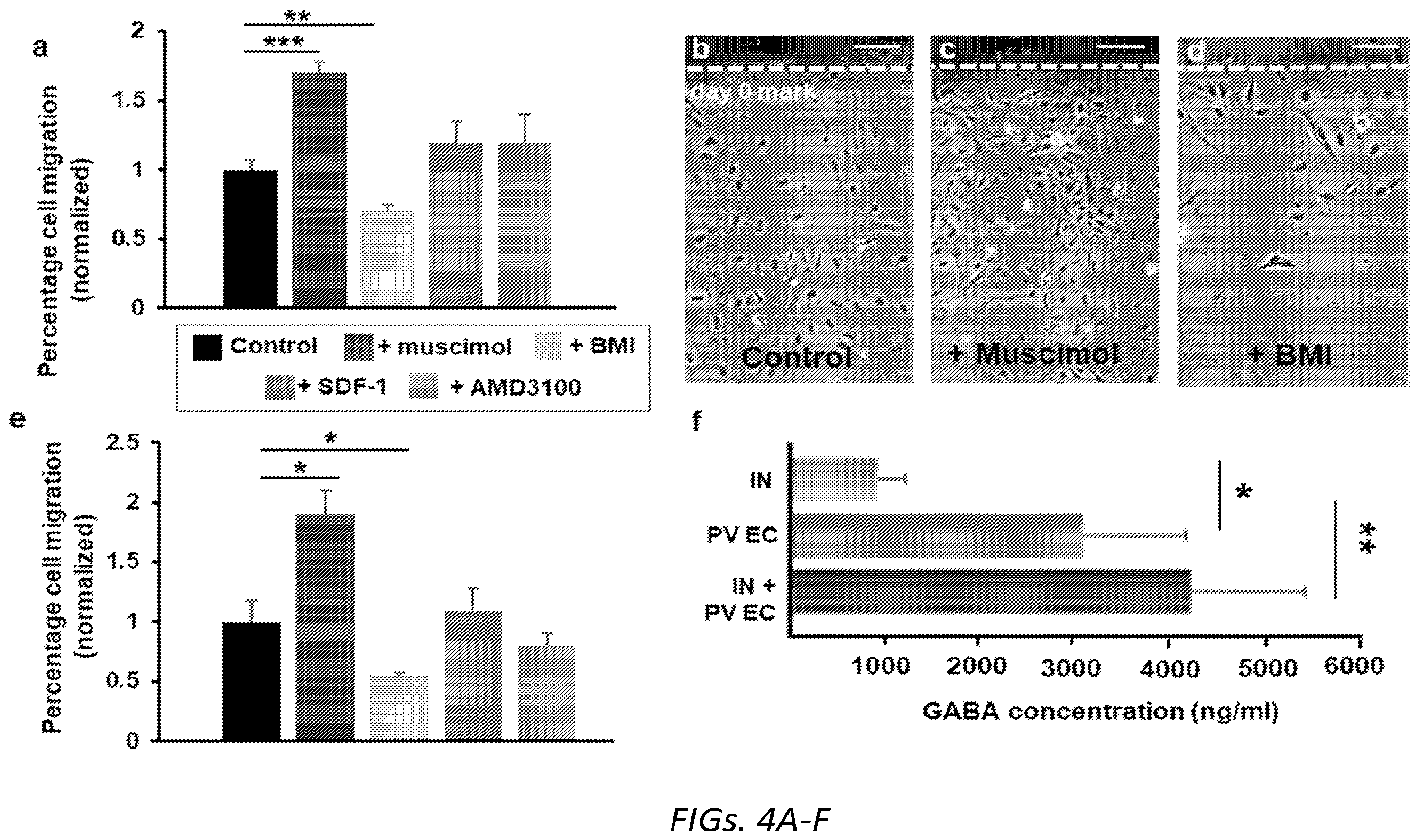 Patent US12564610 Figure 11 – Human periventricular endothelial cell therapy for neuropsychiatric disorders