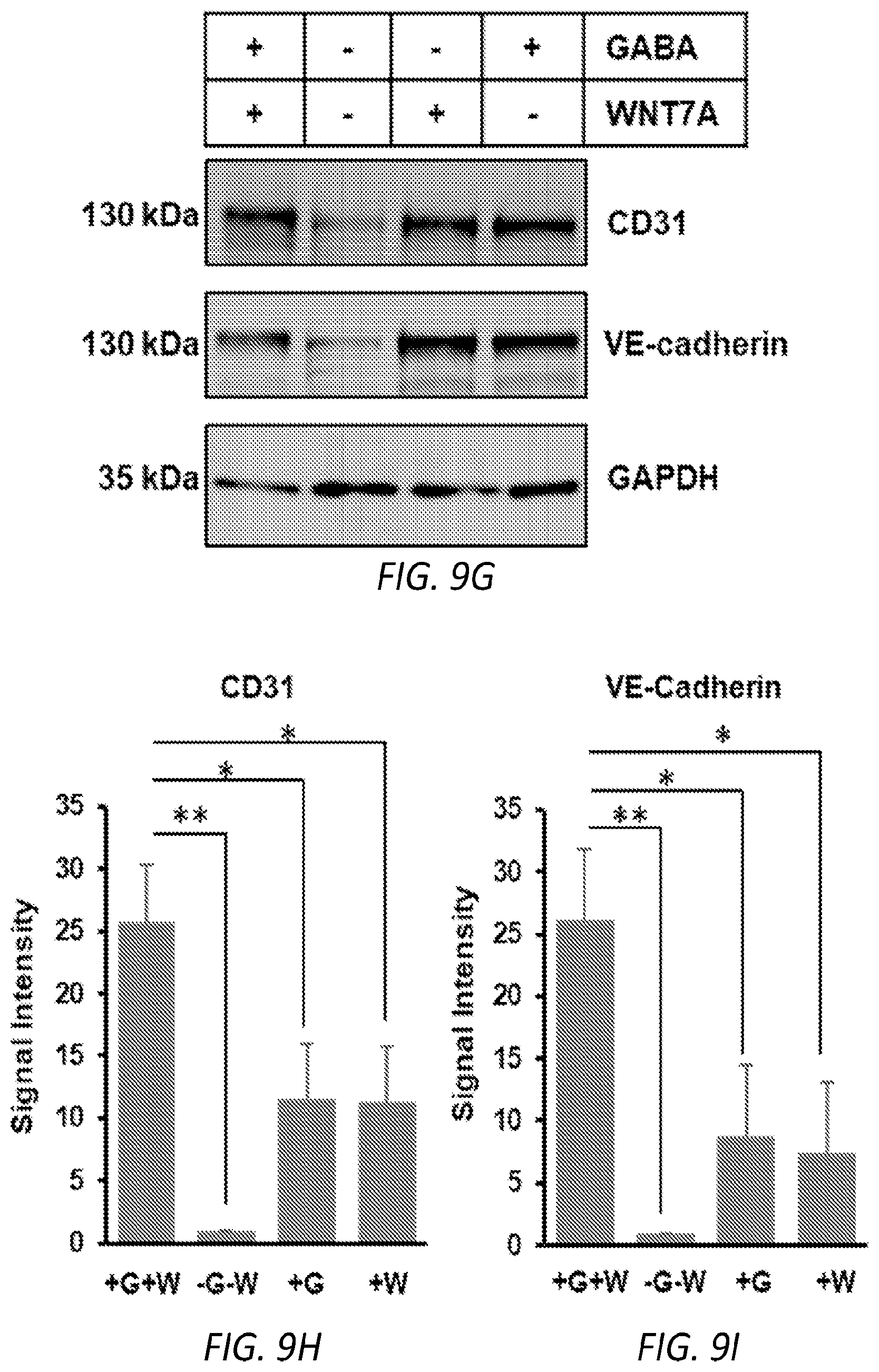 Patent US12564610 Figure 20 – Human periventricular endothelial cell therapy for neuropsychiatric disorders