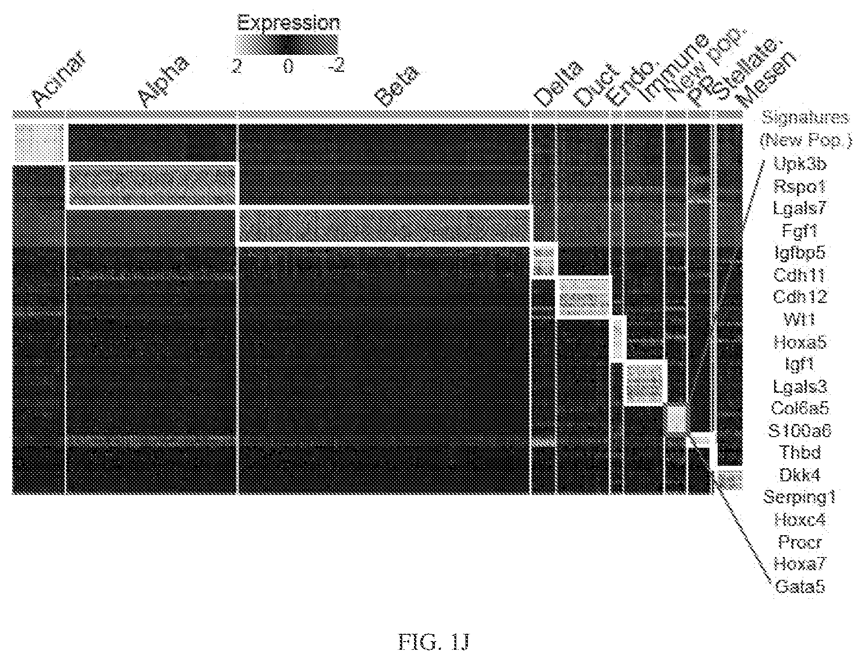 Patent US12564611 Figure 6 – Pancreatic endocrine progenitor cells and use thereof