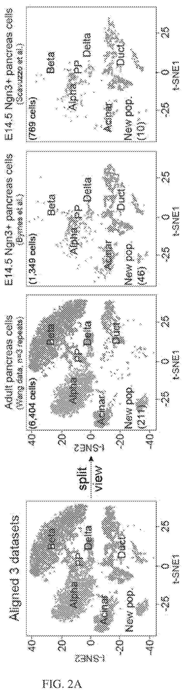 Patent US12564611 Figure 9 – Pancreatic endocrine progenitor cells and use thereof