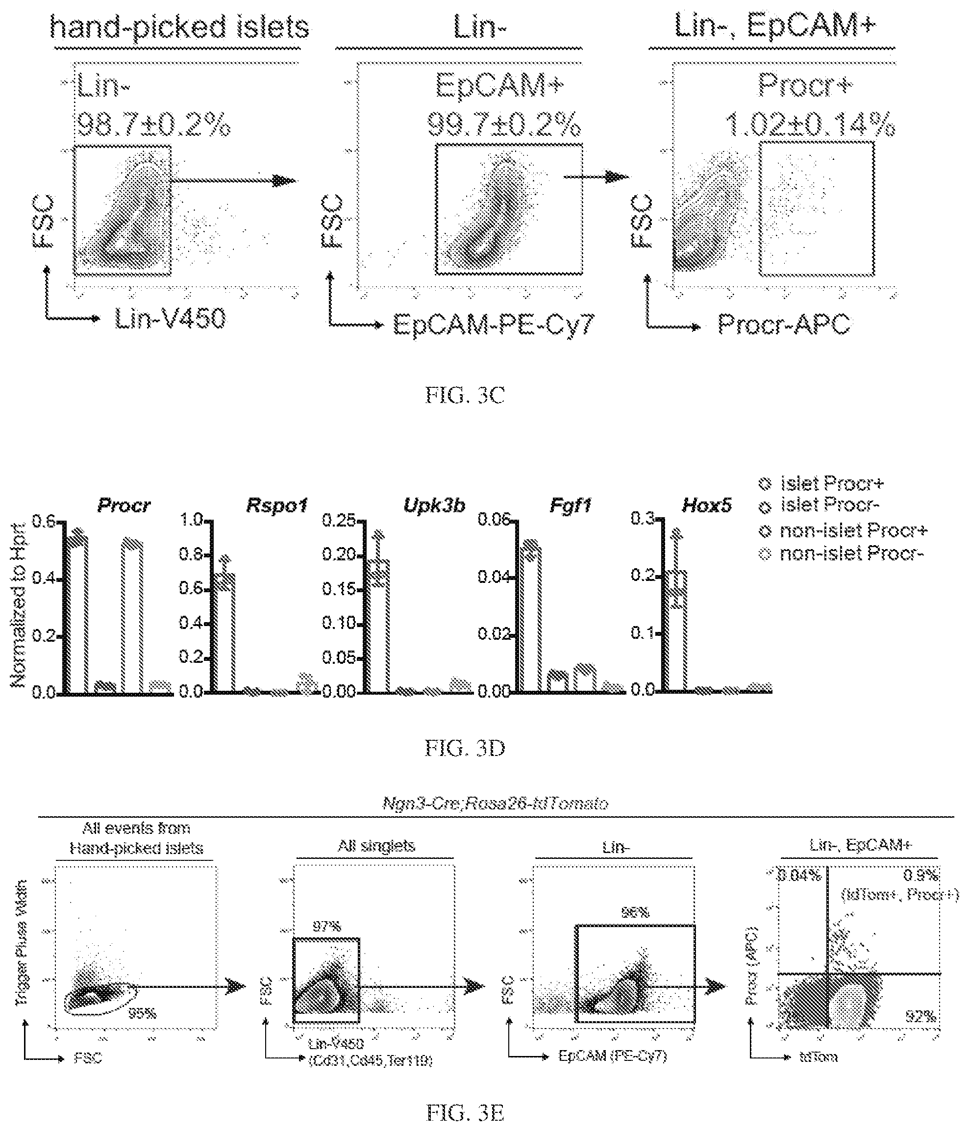 Patent US12564611 Figure 18 – Pancreatic endocrine progenitor cells and use thereof