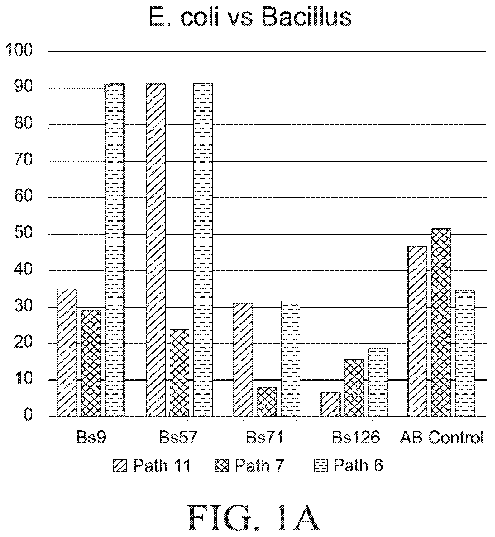 Patent US12564612 Figure 1 – Microbial strains and antibiotics