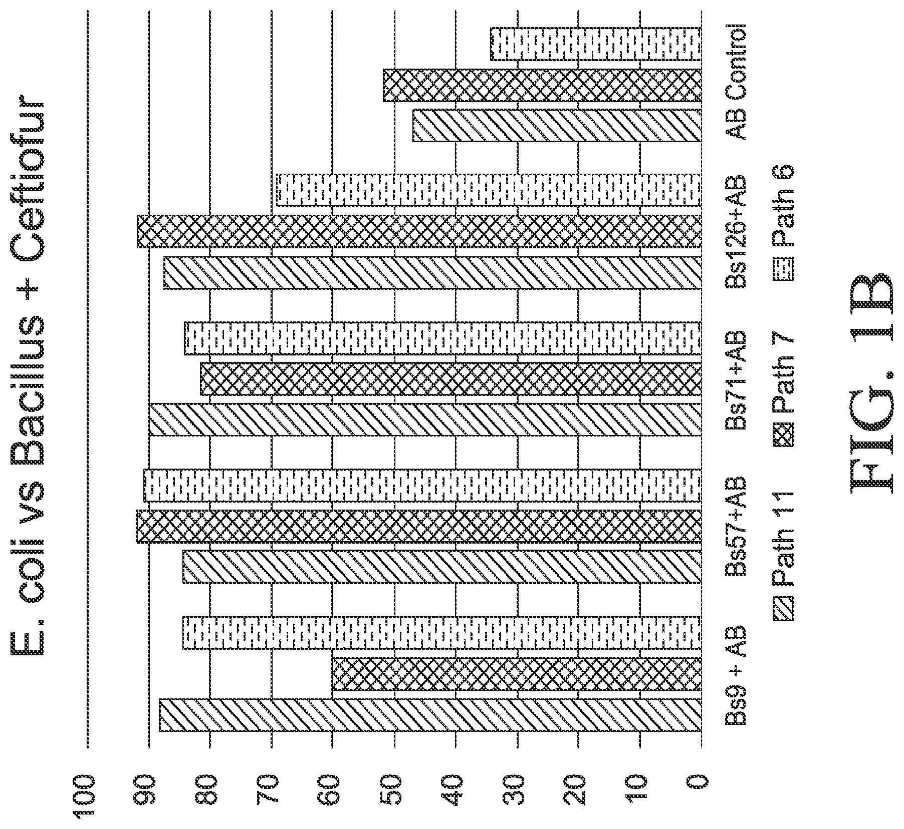 Patent US12564612 Figure 2 – Microbial strains and antibiotics