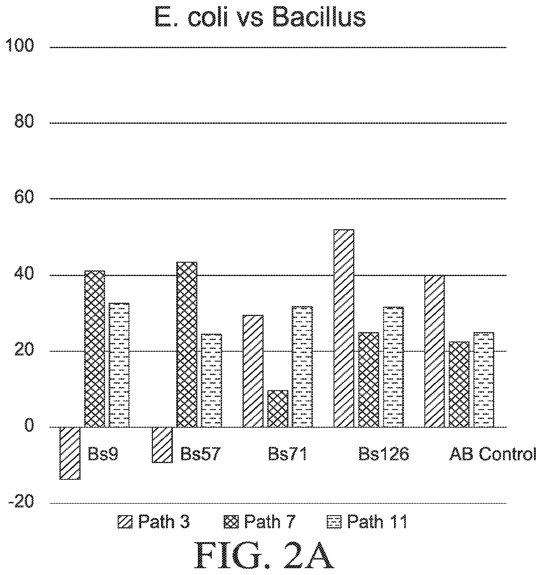 Patent US12564612 Figure 3 – Microbial strains and antibiotics