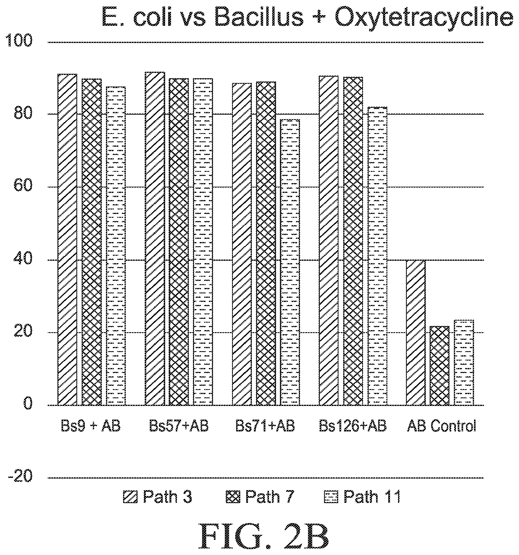 Patent US12564612 Figure 4 – Microbial strains and antibiotics