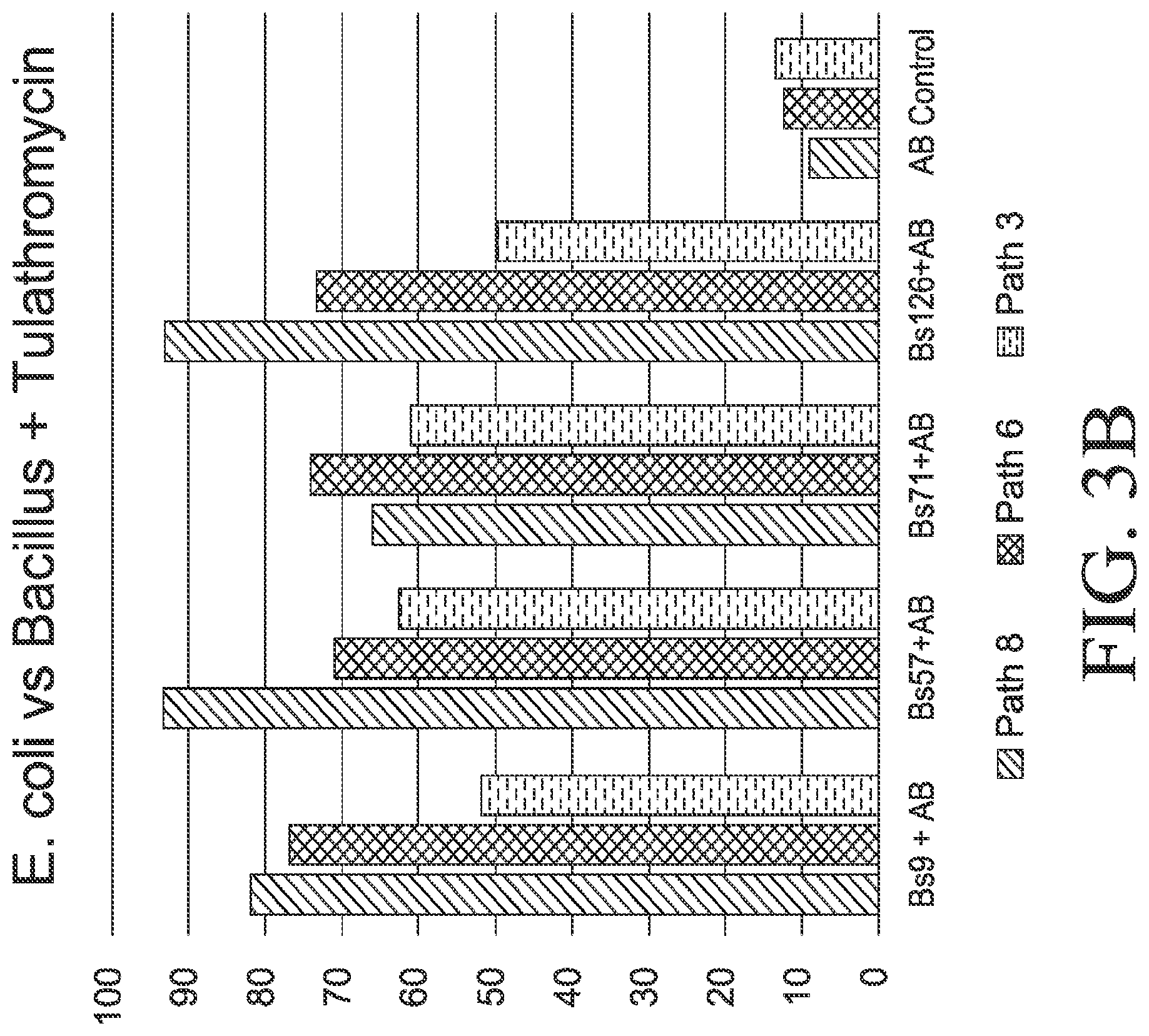 Patent US12564612 Figure 6 – Microbial strains and antibiotics