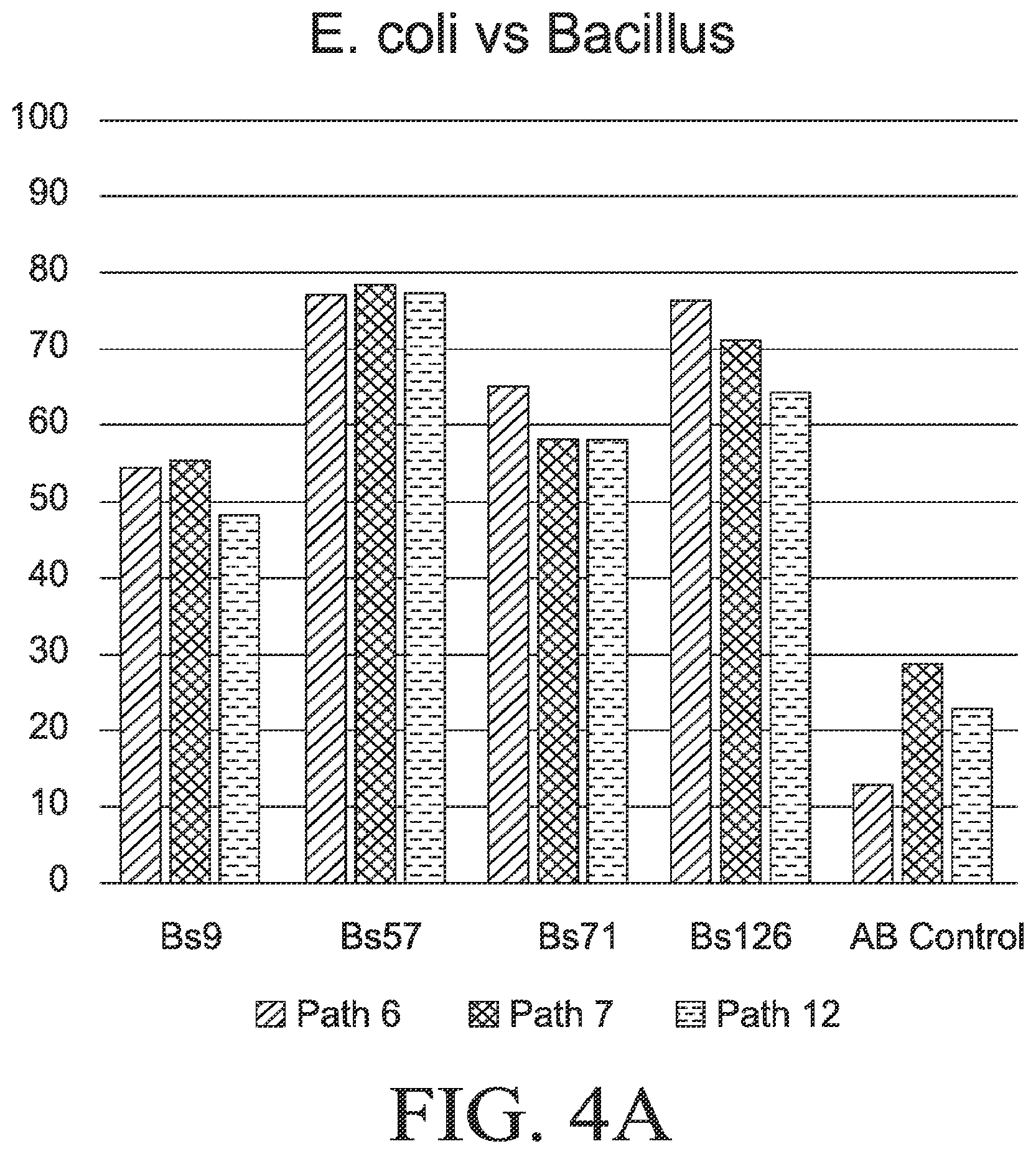 Patent US12564612 Figure 7 – Microbial strains and antibiotics