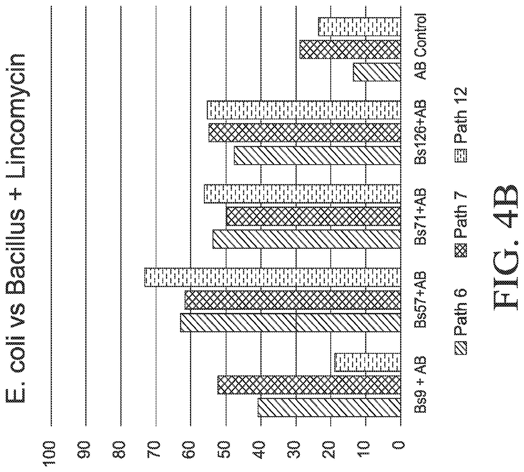 Patent US12564612 Figure 8 – Microbial strains and antibiotics