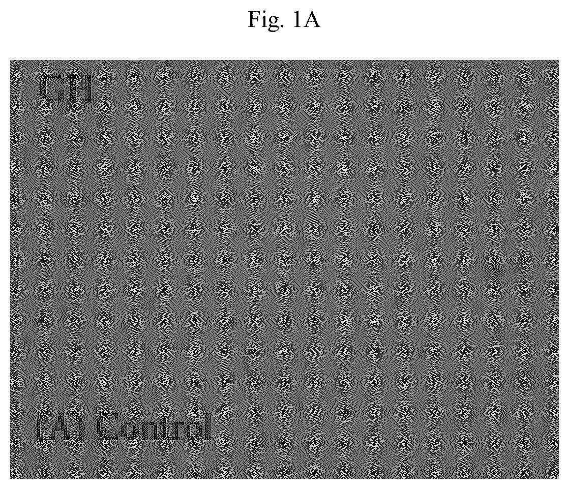 Patent US12564615 Figure 1 – Treatment method for cardiac hypertrophy