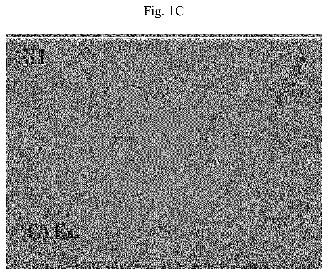 Patent US12564615 Figure 3 – Treatment method for cardiac hypertrophy
