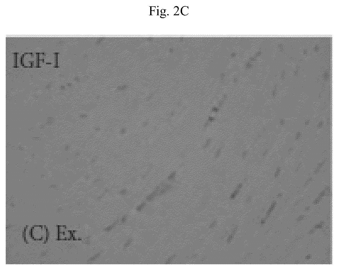 Patent US12564615 Figure 7 – Treatment method for cardiac hypertrophy
