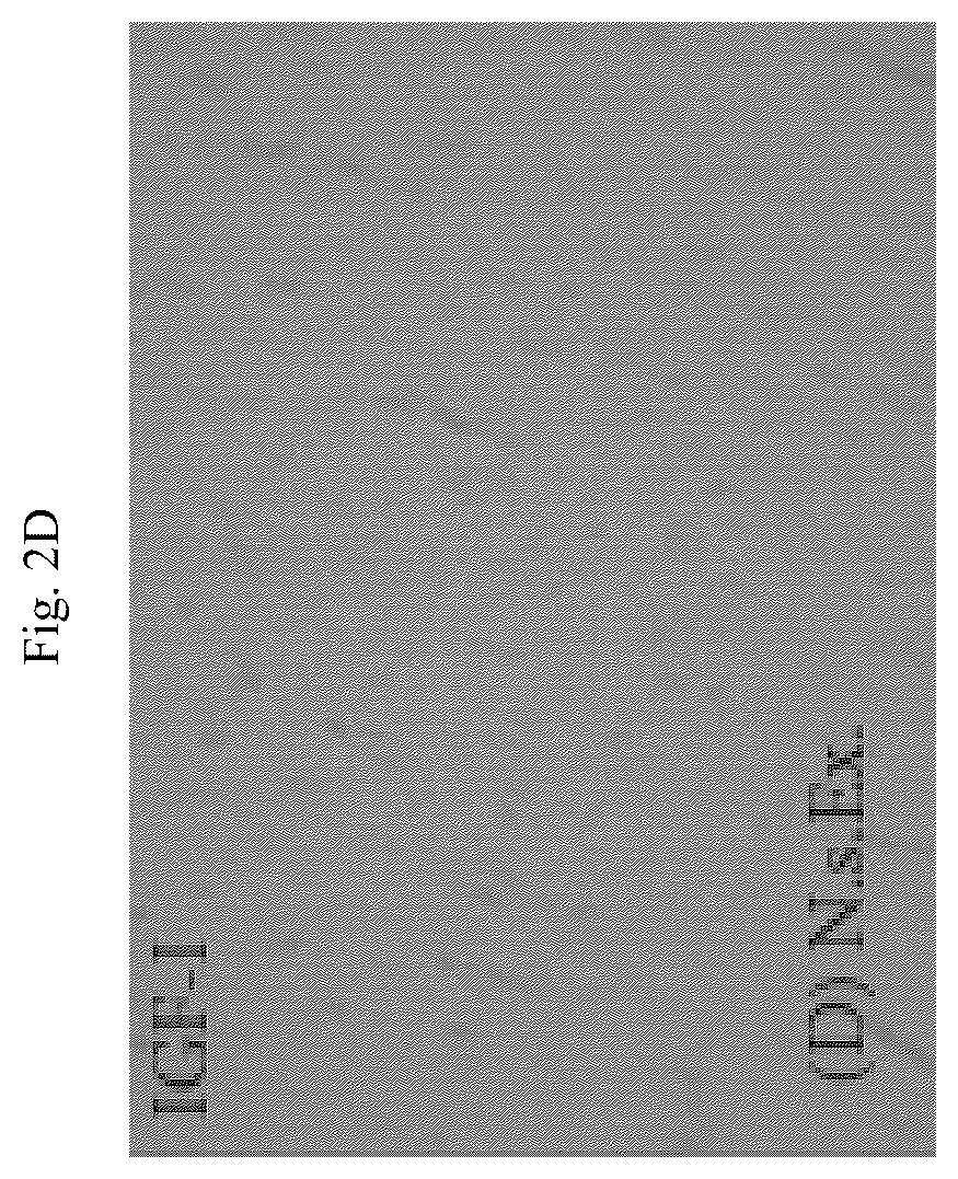 Patent US12564615 Figure 8 – Treatment method for cardiac hypertrophy