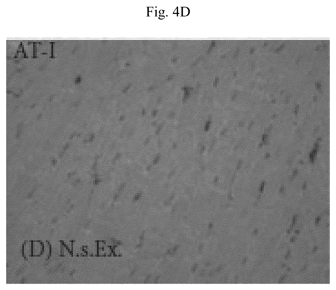 Patent US12564615 Figure 16 – Treatment method for cardiac hypertrophy
