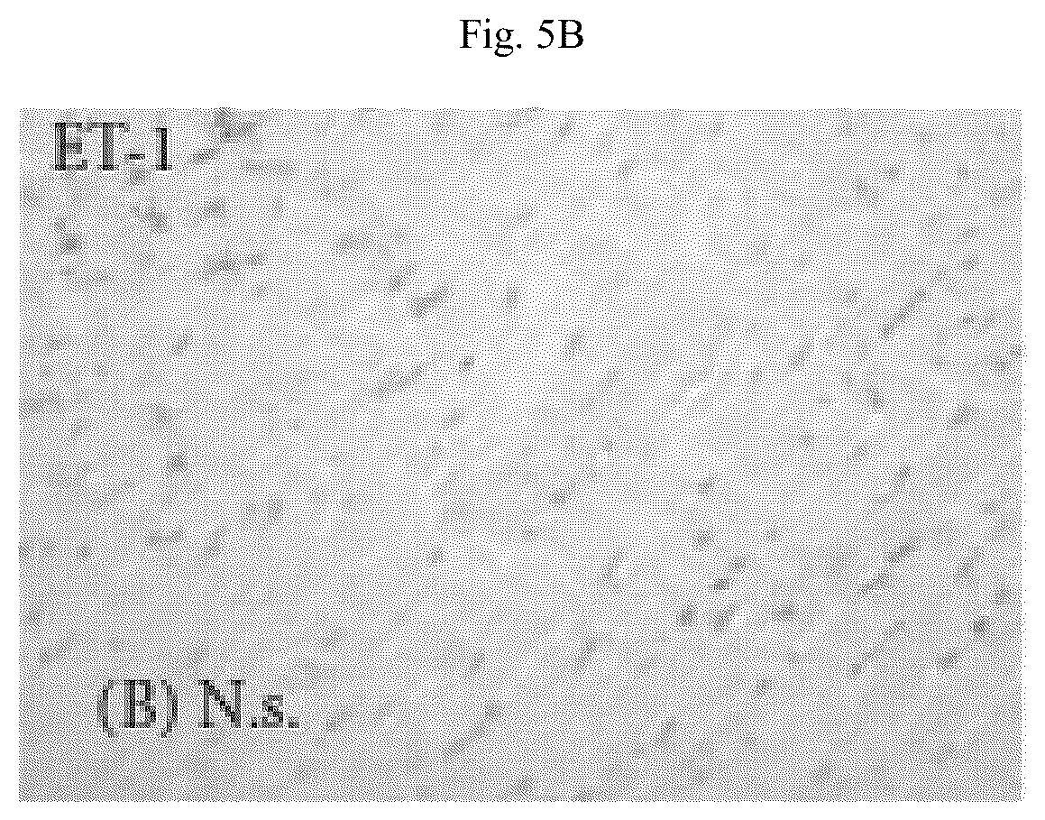 Patent US12564615 Figure 18 – Treatment method for cardiac hypertrophy