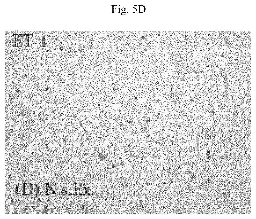 Patent US12564615 Figure 20 – Treatment method for cardiac hypertrophy