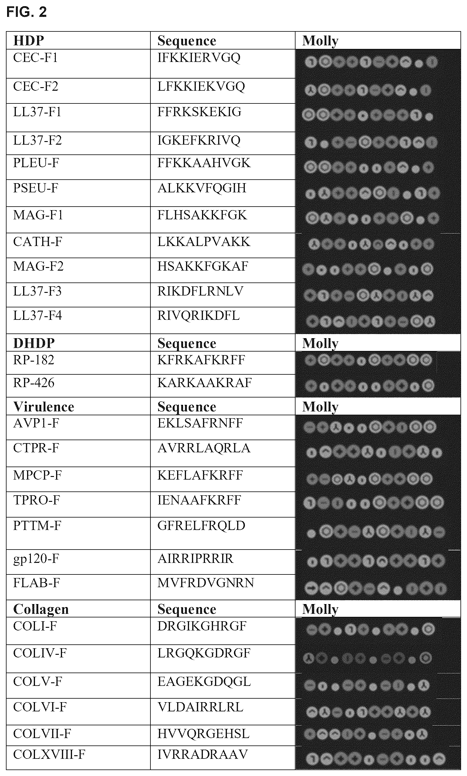 Patent US12564617 Figure 2 – Methods for modulating macrophage activity