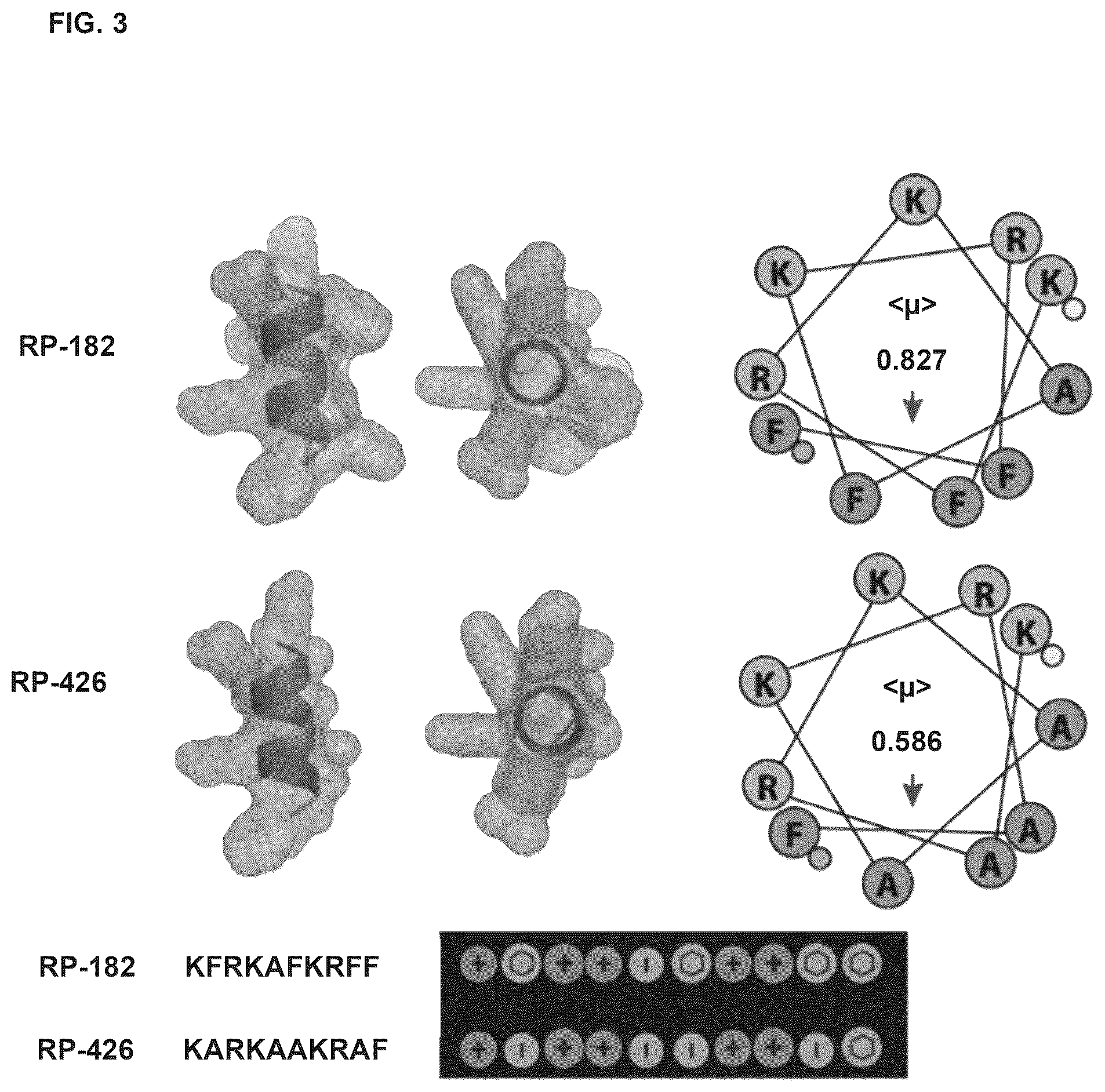 Patent US12564617 Figure 3 – Methods for modulating macrophage activity