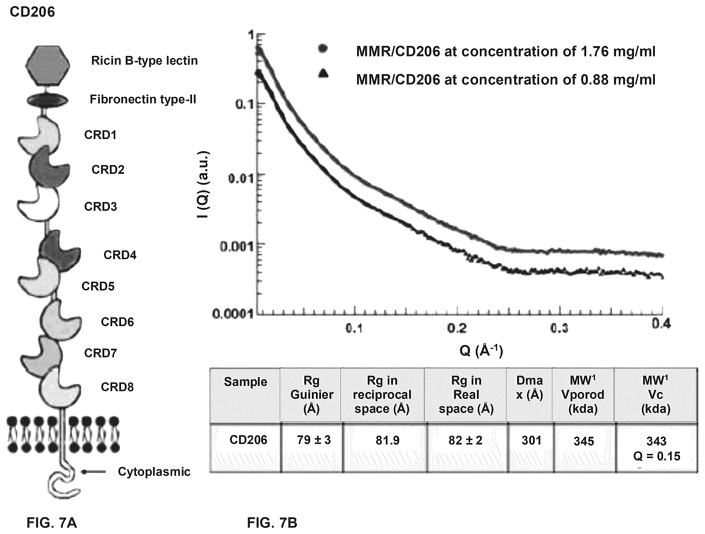 Patent US12564617 Figure 7 – Methods for modulating macrophage activity