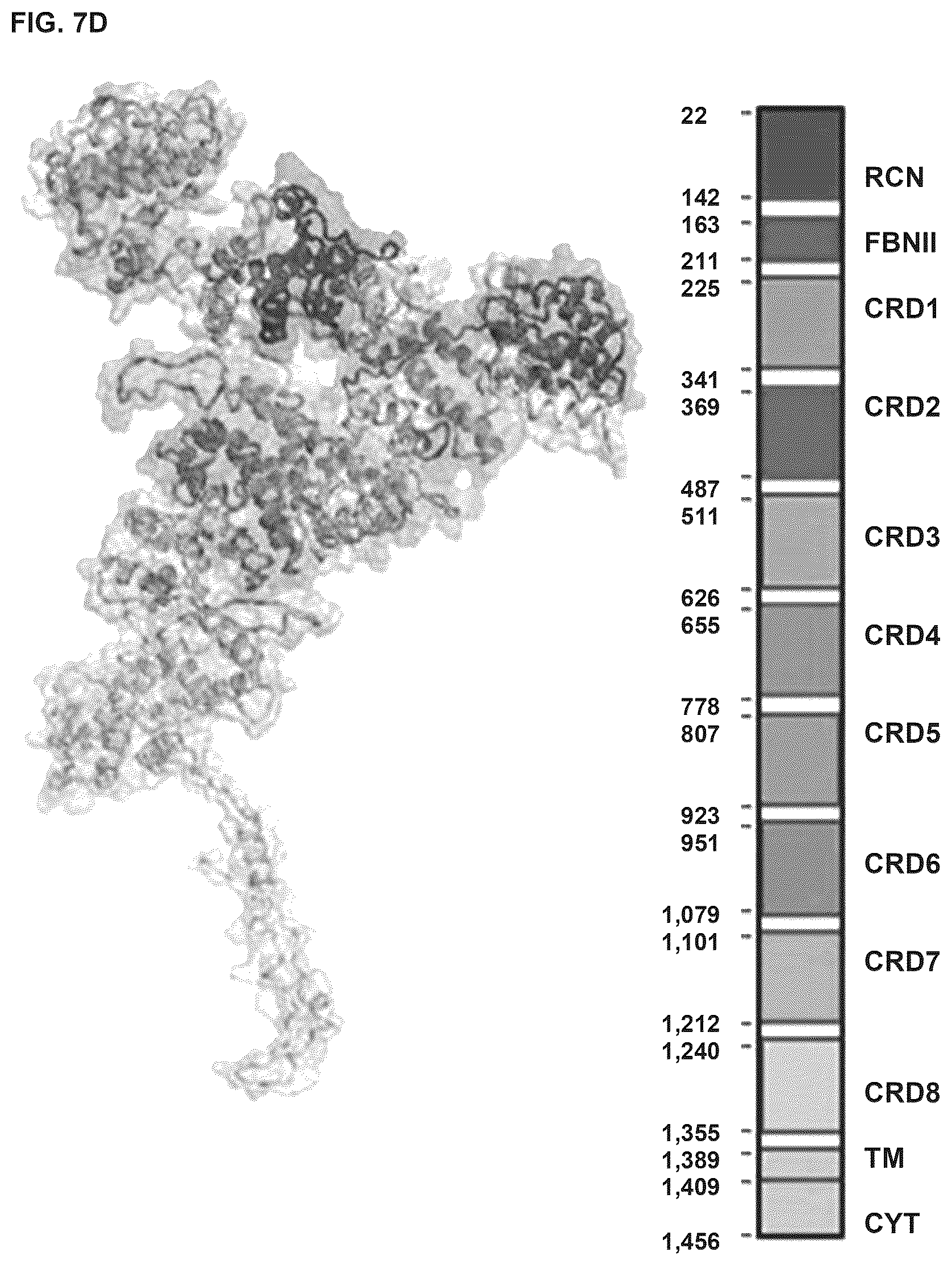 Patent US12564617 Figure 9 – Methods for modulating macrophage activity