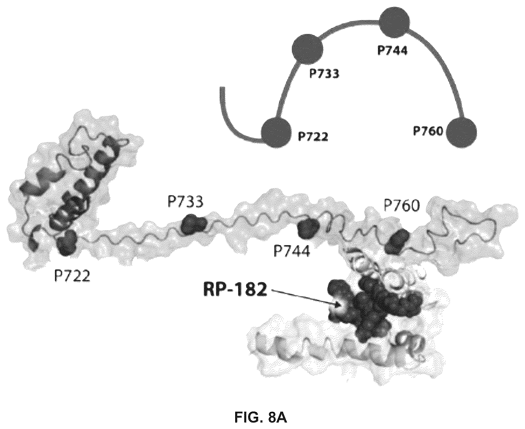 Patent US12564617 Figure 10 – Methods for modulating macrophage activity