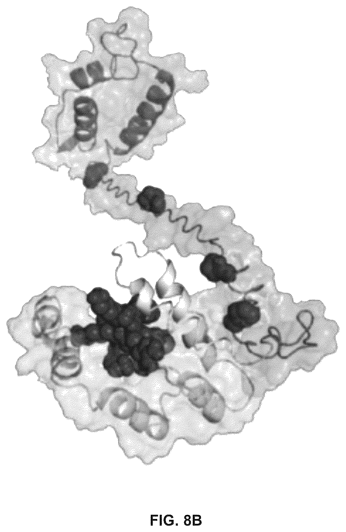 Patent US12564617 Figure 11 – Methods for modulating macrophage activity