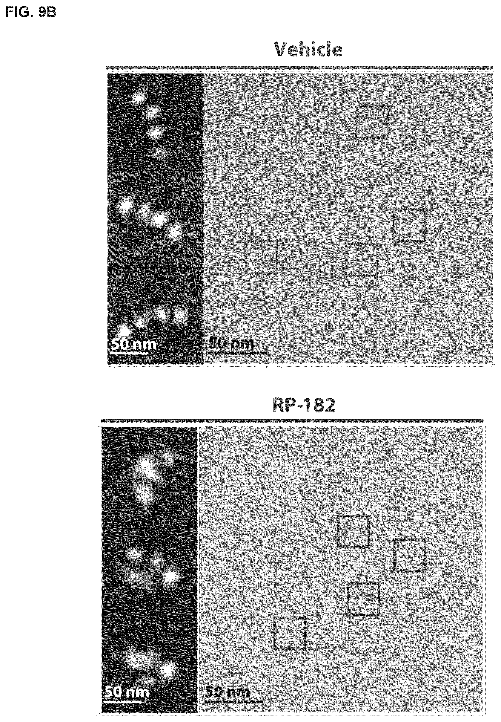 Patent US12564617 Figure 13 – Methods for modulating macrophage activity