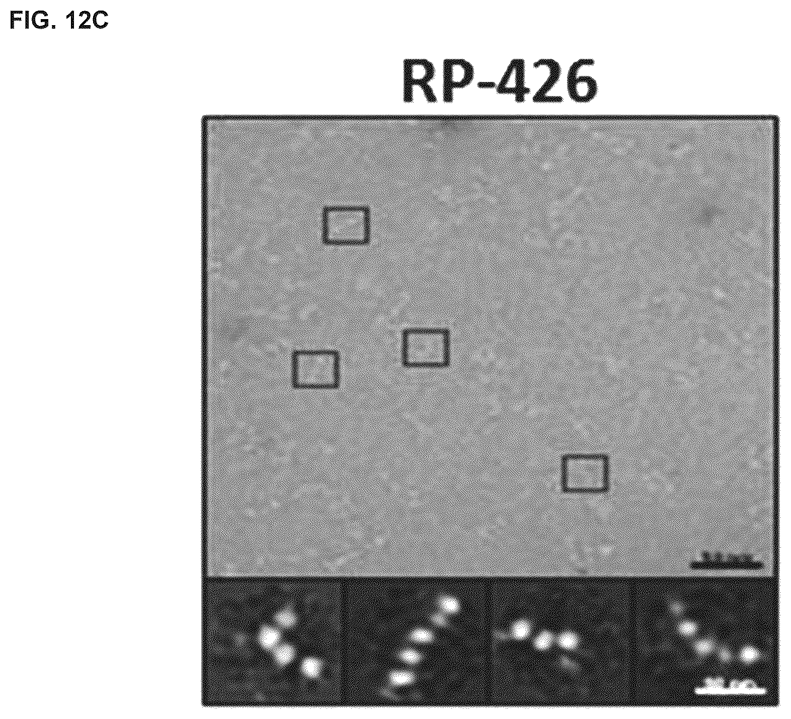 Patent US12564617 Figure 17 – Methods for modulating macrophage activity