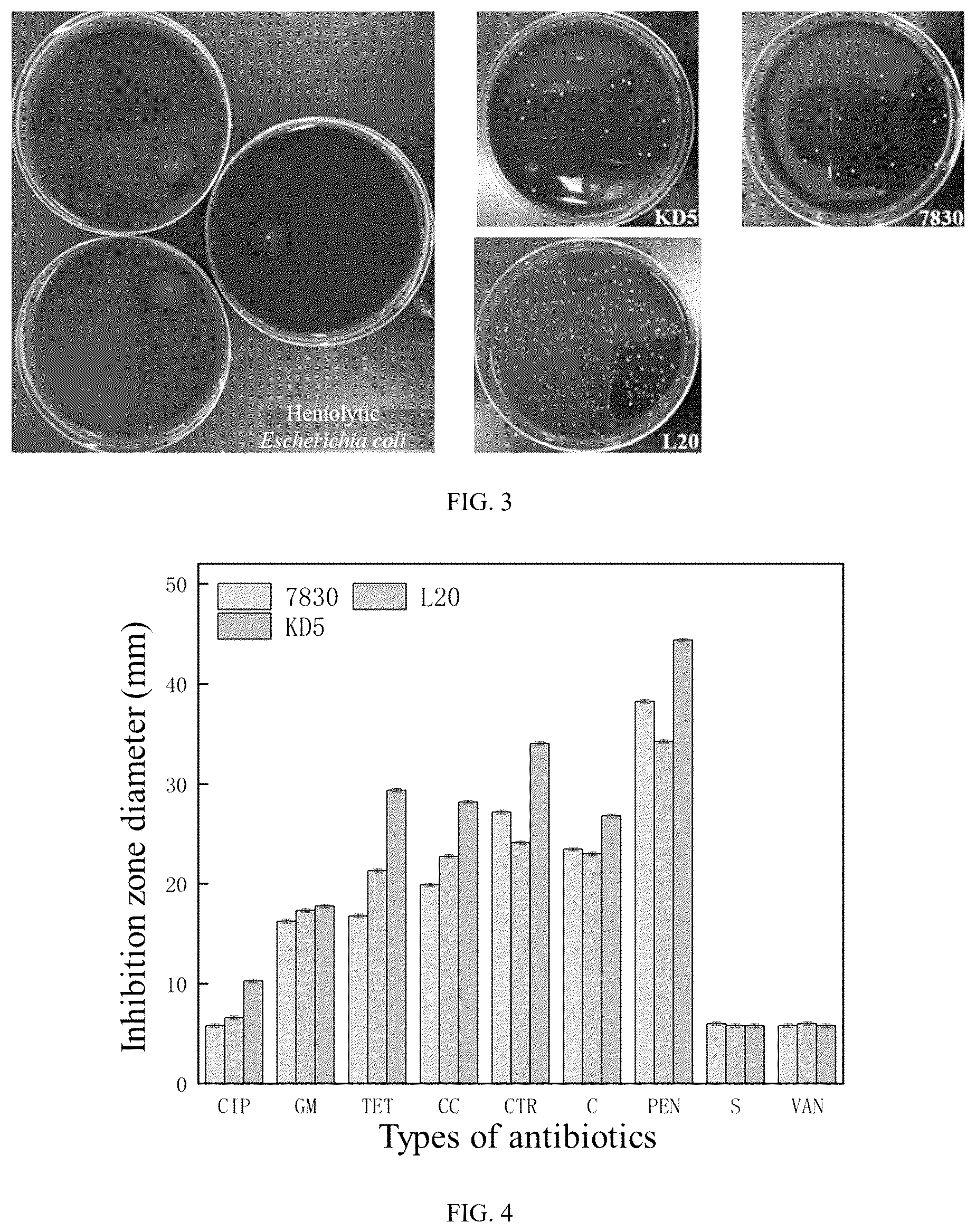 Patent US12564618 Figure 3 – Antihypertensive peptide probiotic goat milk powder and preparation method thereof