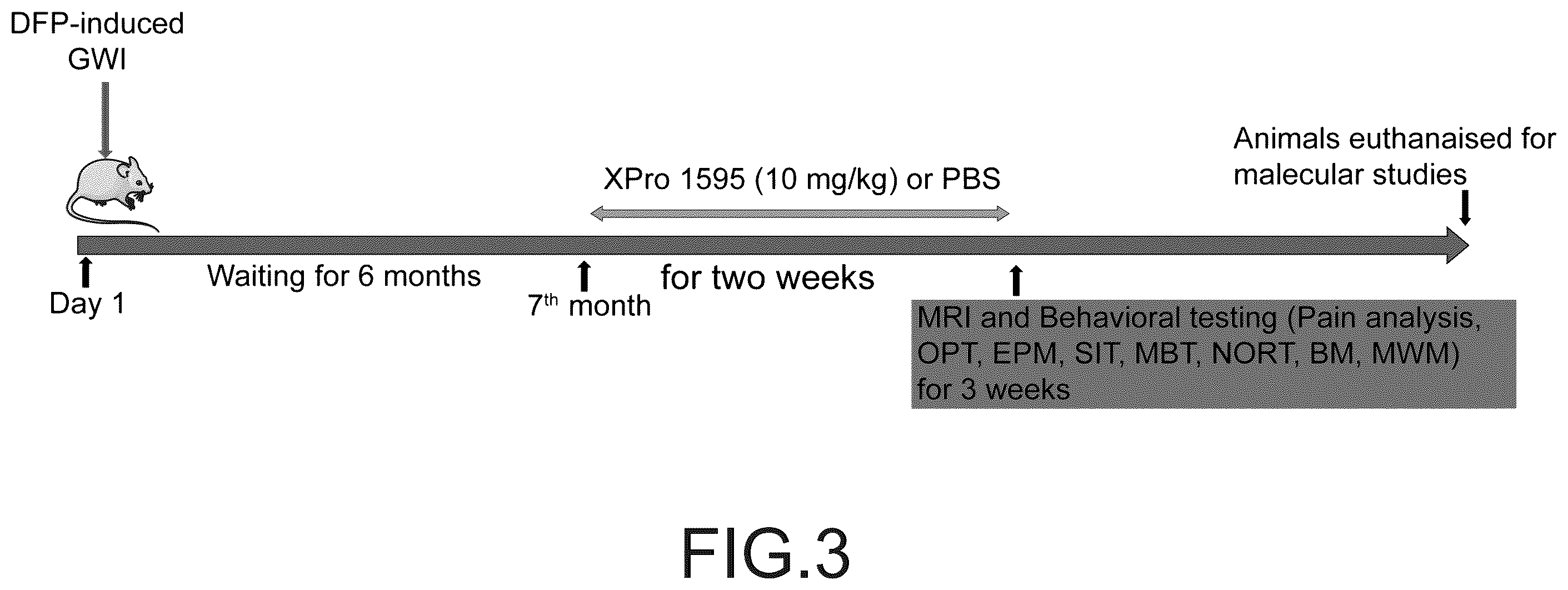 Patent US12564620 Figure 3 – Treatment of gulf war illness