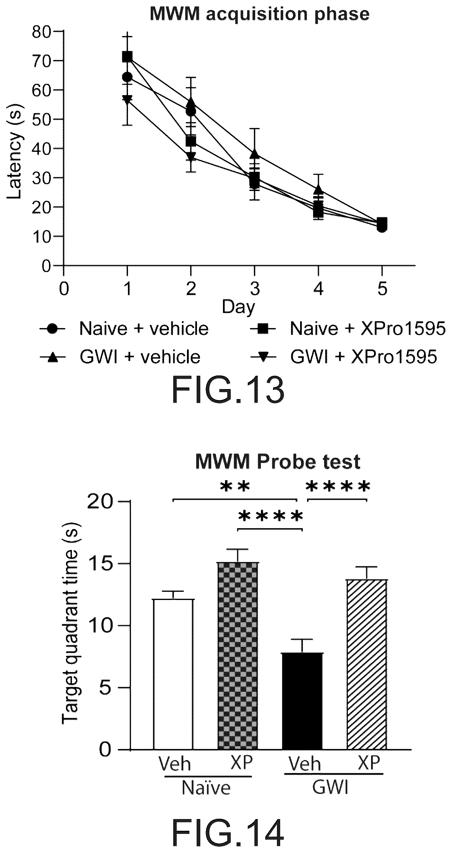 Patent US12564620 Figure 9 – Treatment of gulf war illness