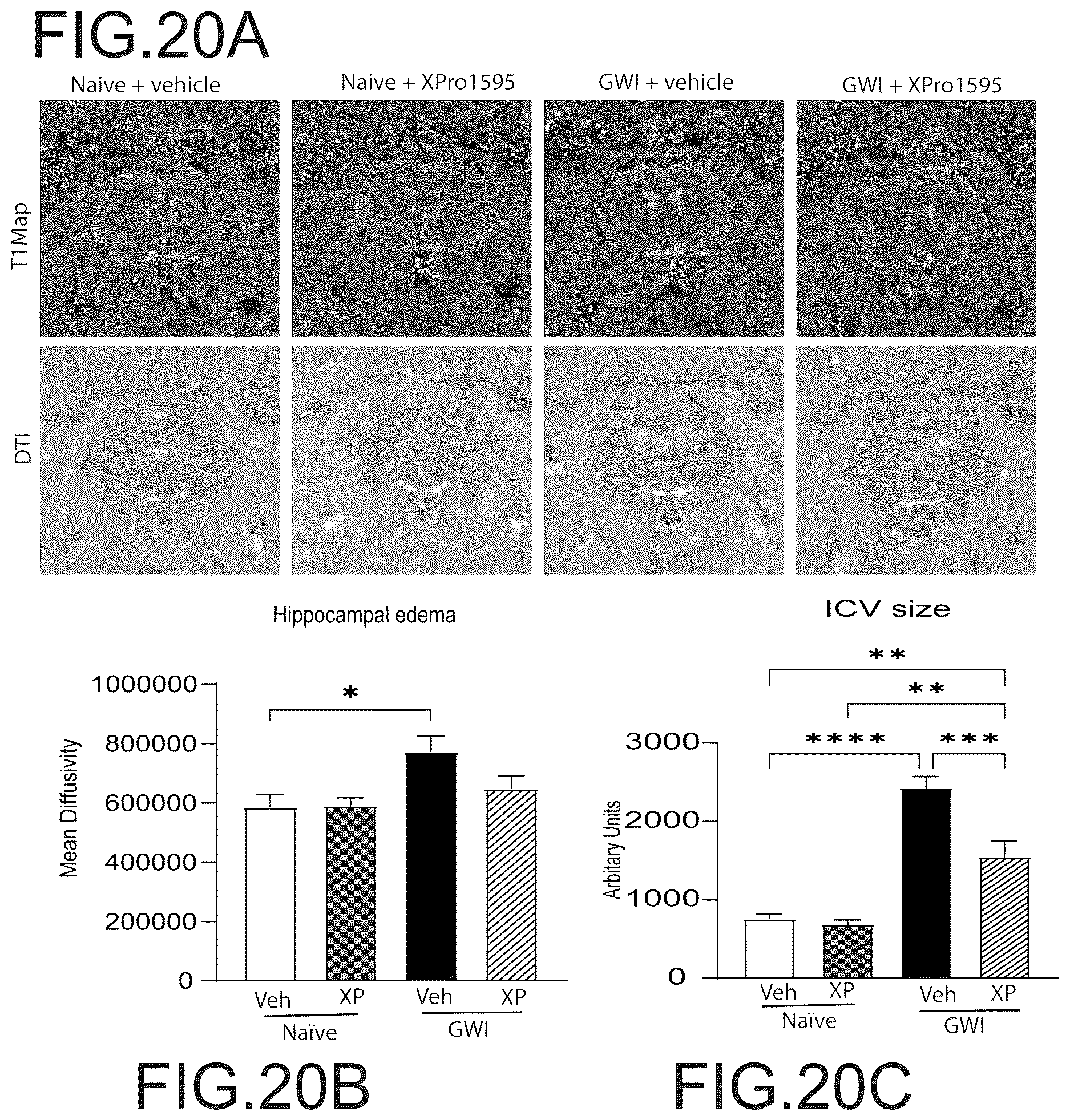 Patent US12564620 Figure 13 – Treatment of gulf war illness