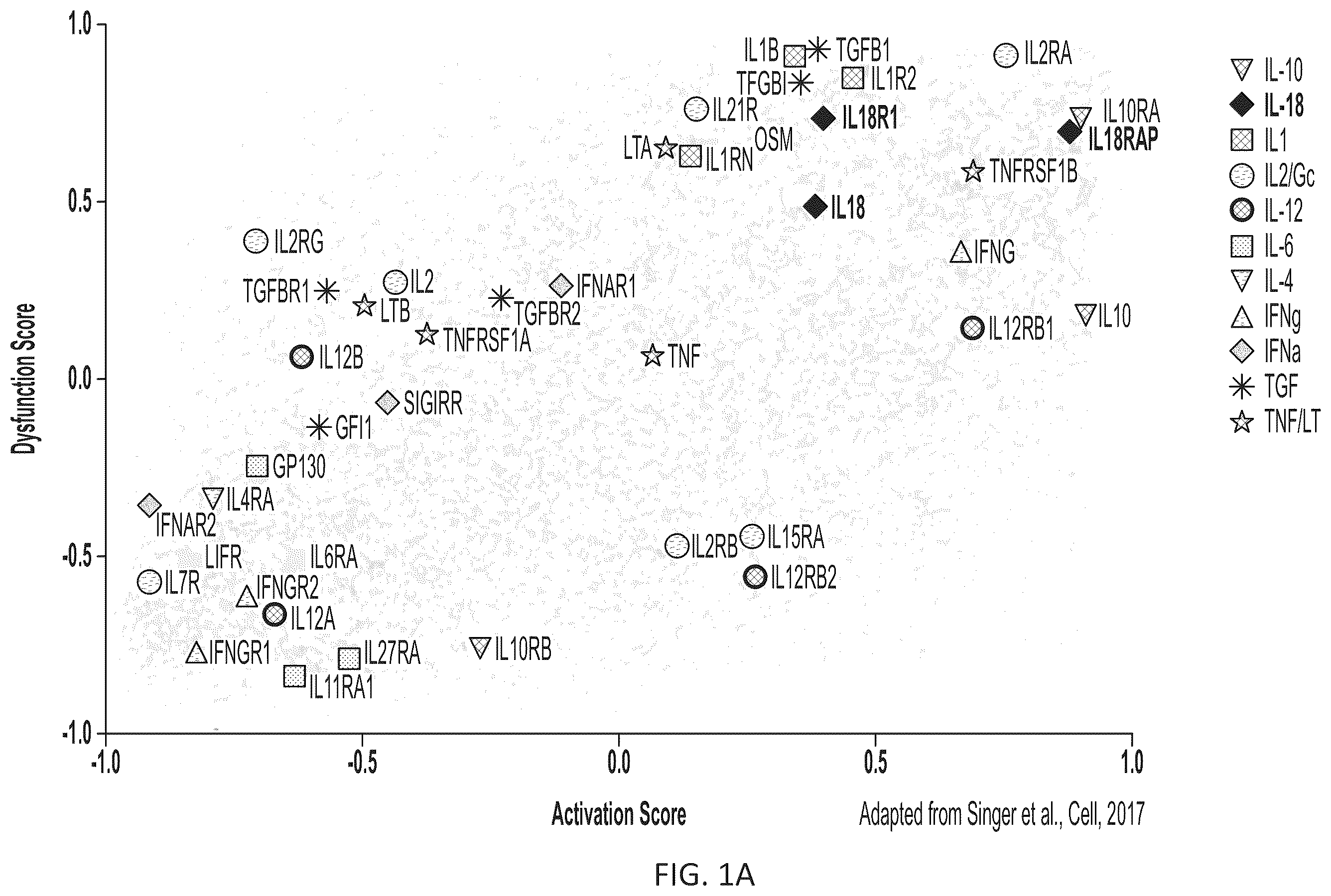 Patent US12564621 — Interleukin-18 variants and methods of use — Figure 1