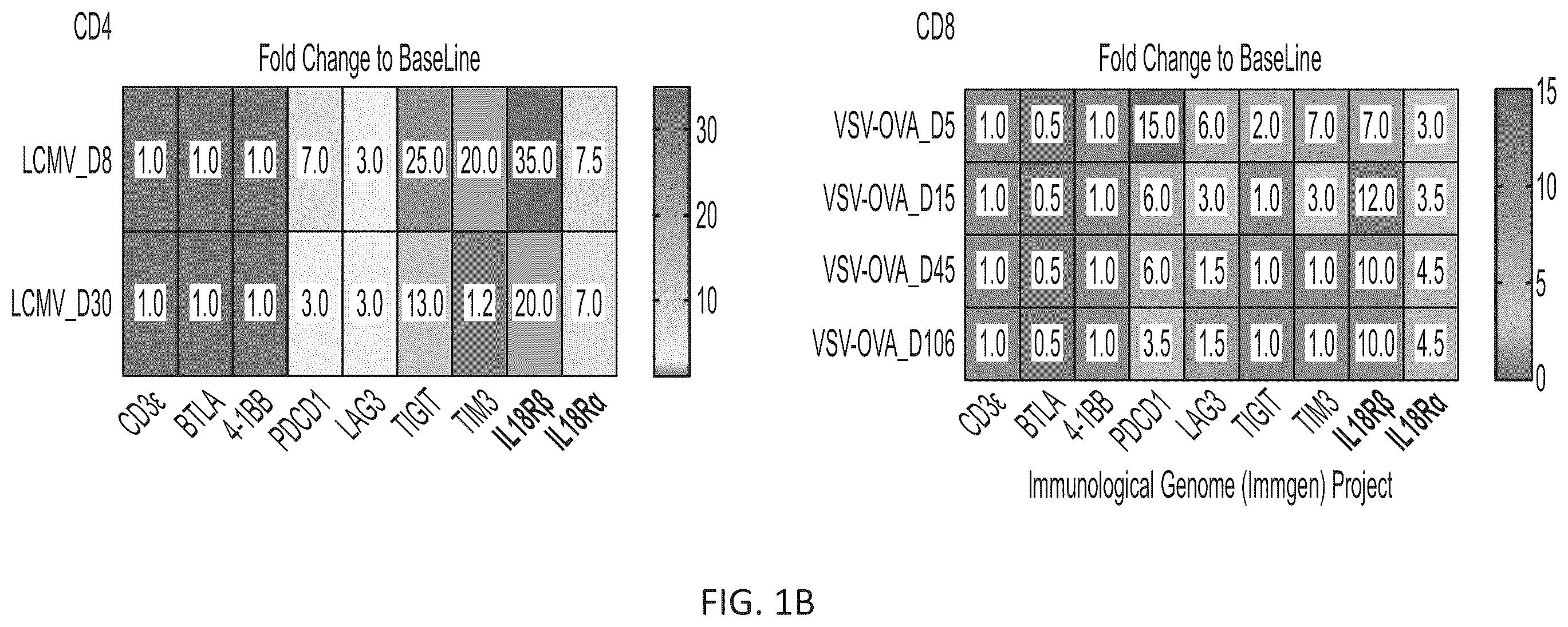 Patent US12564621 Figure 2 – Interleukin-18 variants and methods of use
