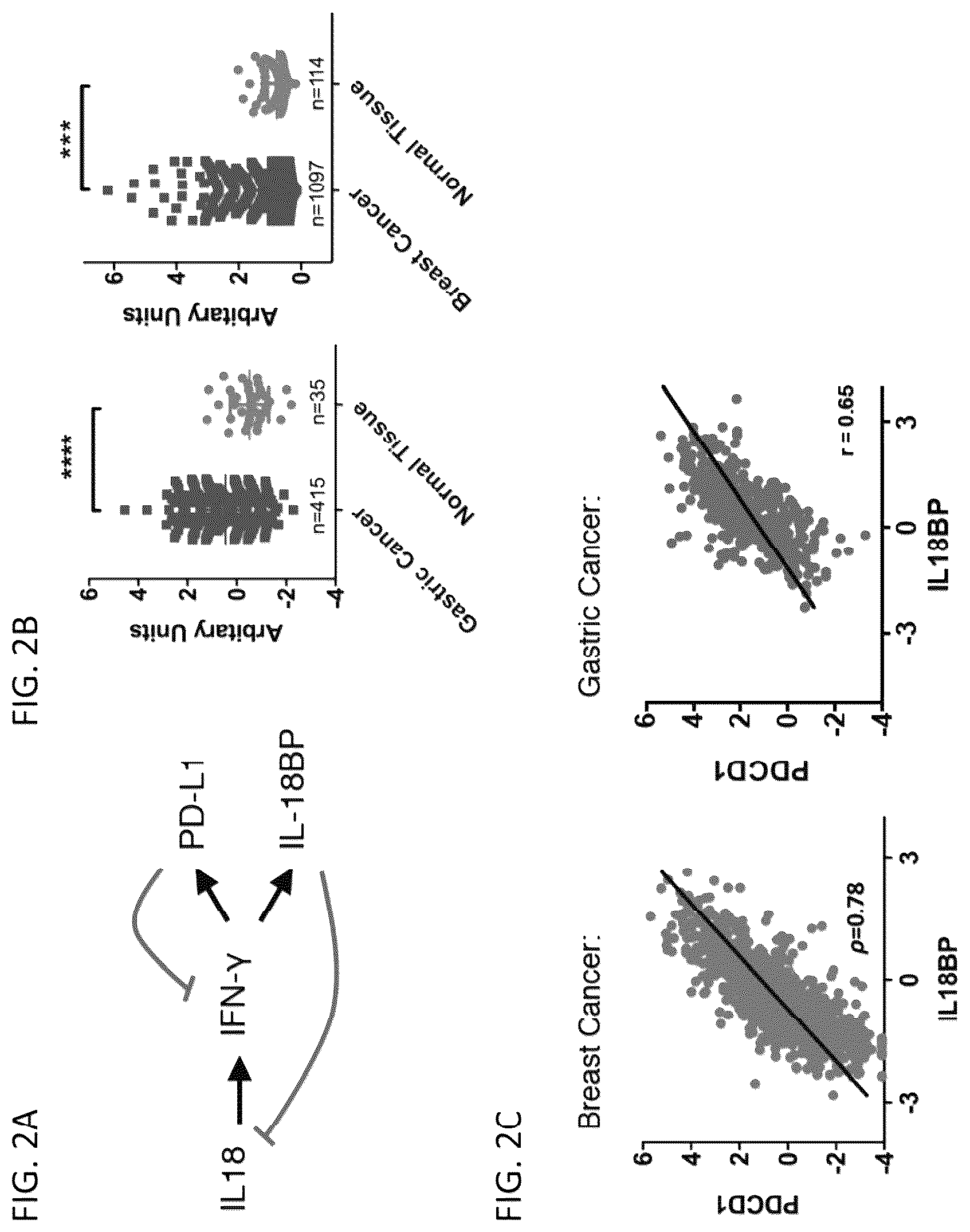 Patent US12564621 Figure 3 – Interleukin-18 variants and methods of use