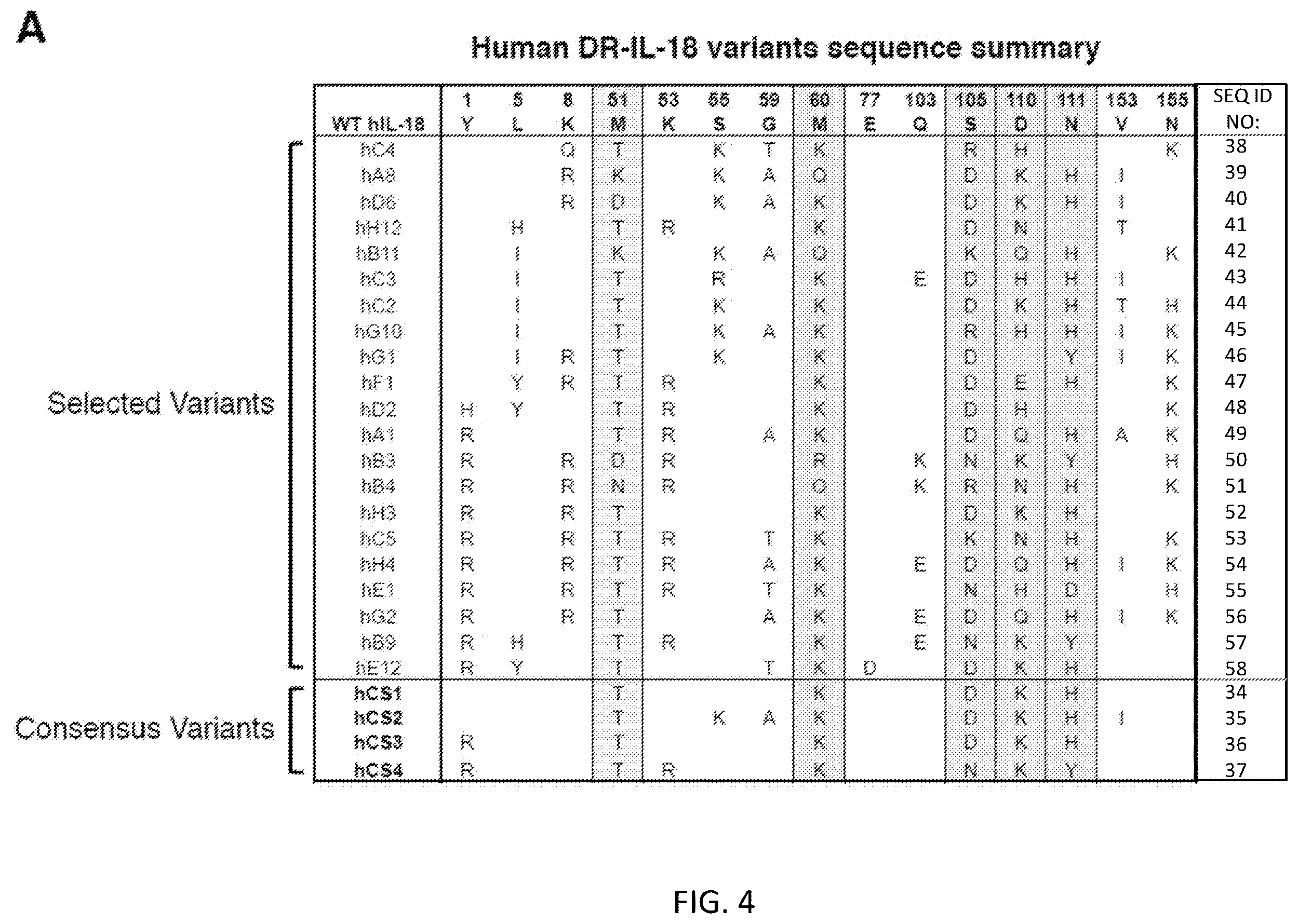 Patent US12564621 Figure 6 – Interleukin-18 variants and methods of use
