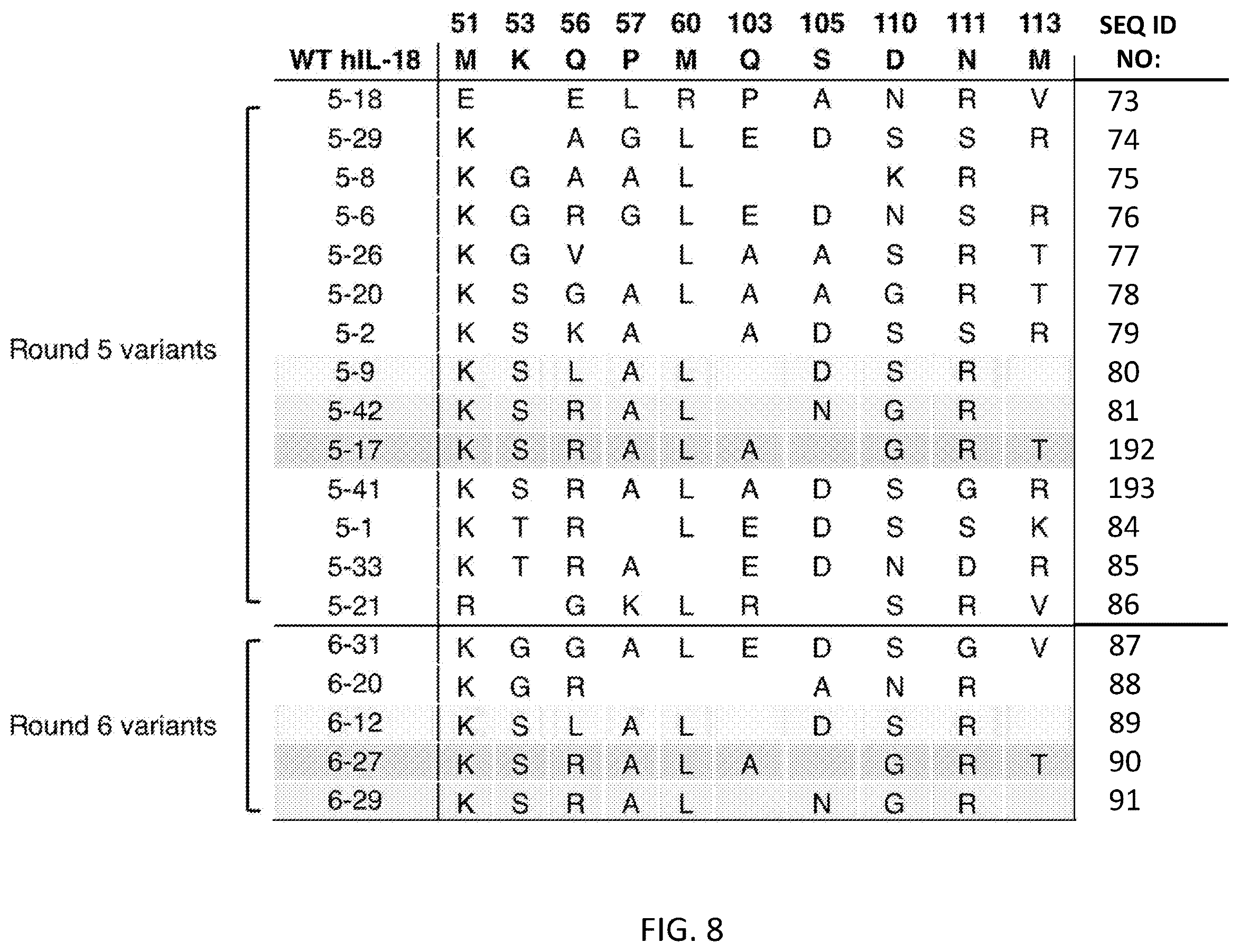 Patent US12564621 Figure 10 – Interleukin-18 variants and methods of use