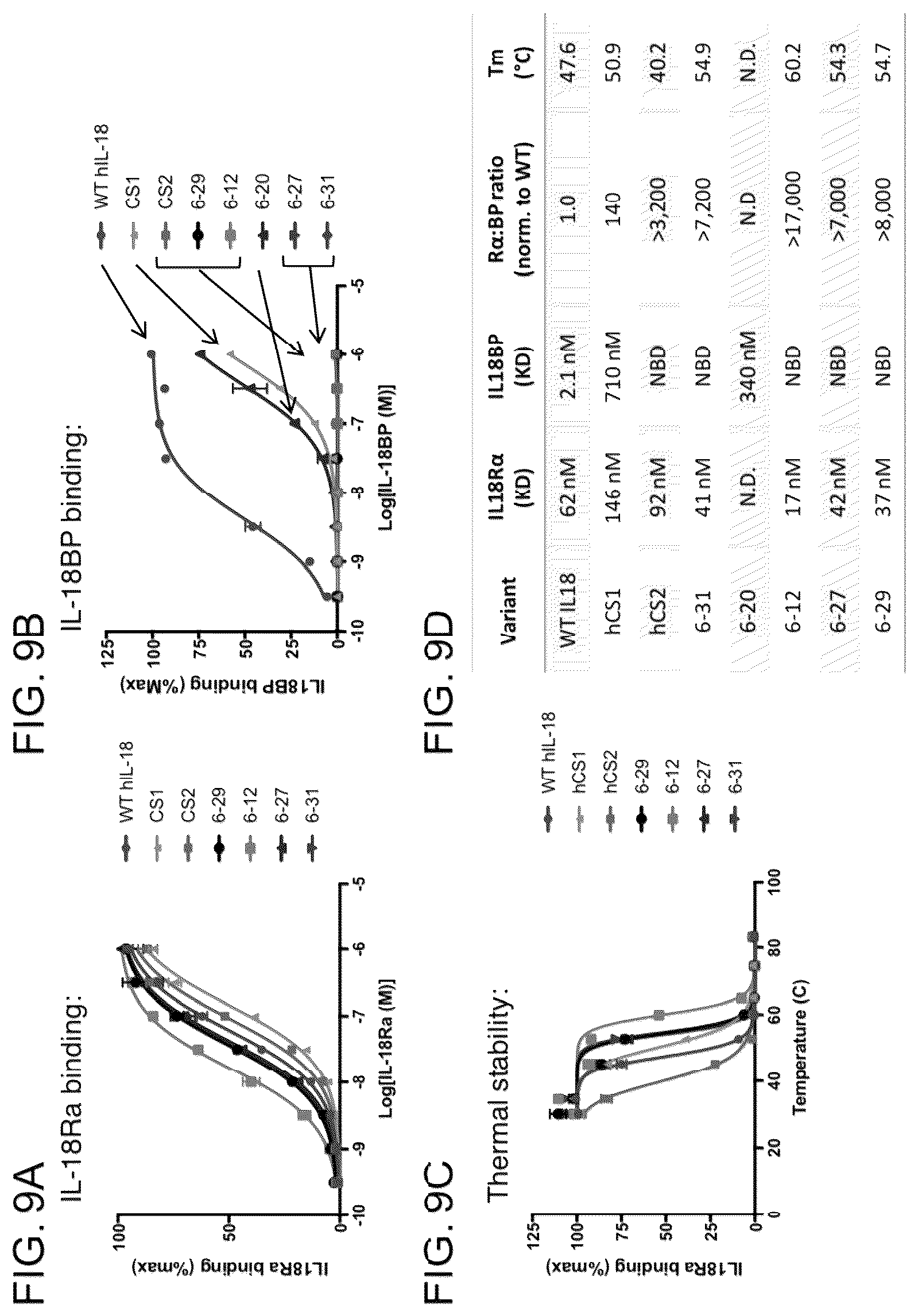 Patent US12564621 Figure 11 – Interleukin-18 variants and methods of use