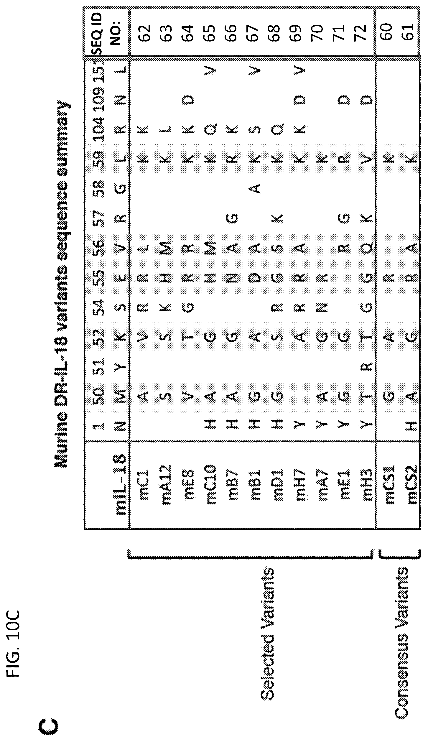 Patent US12564621 Figure 13 – Interleukin-18 variants and methods of use