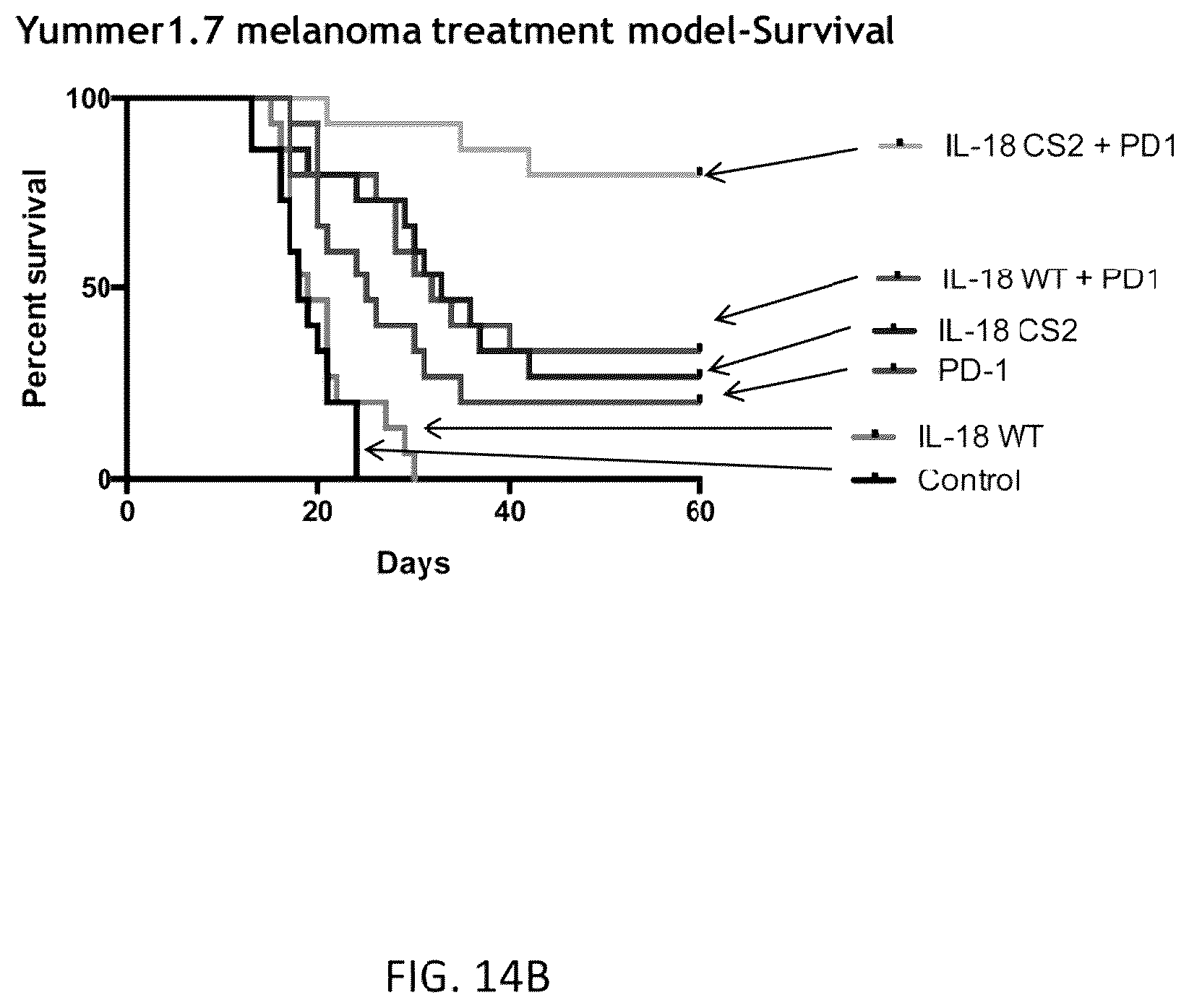 Patent US12564621 Figure 19 – Interleukin-18 variants and methods of use