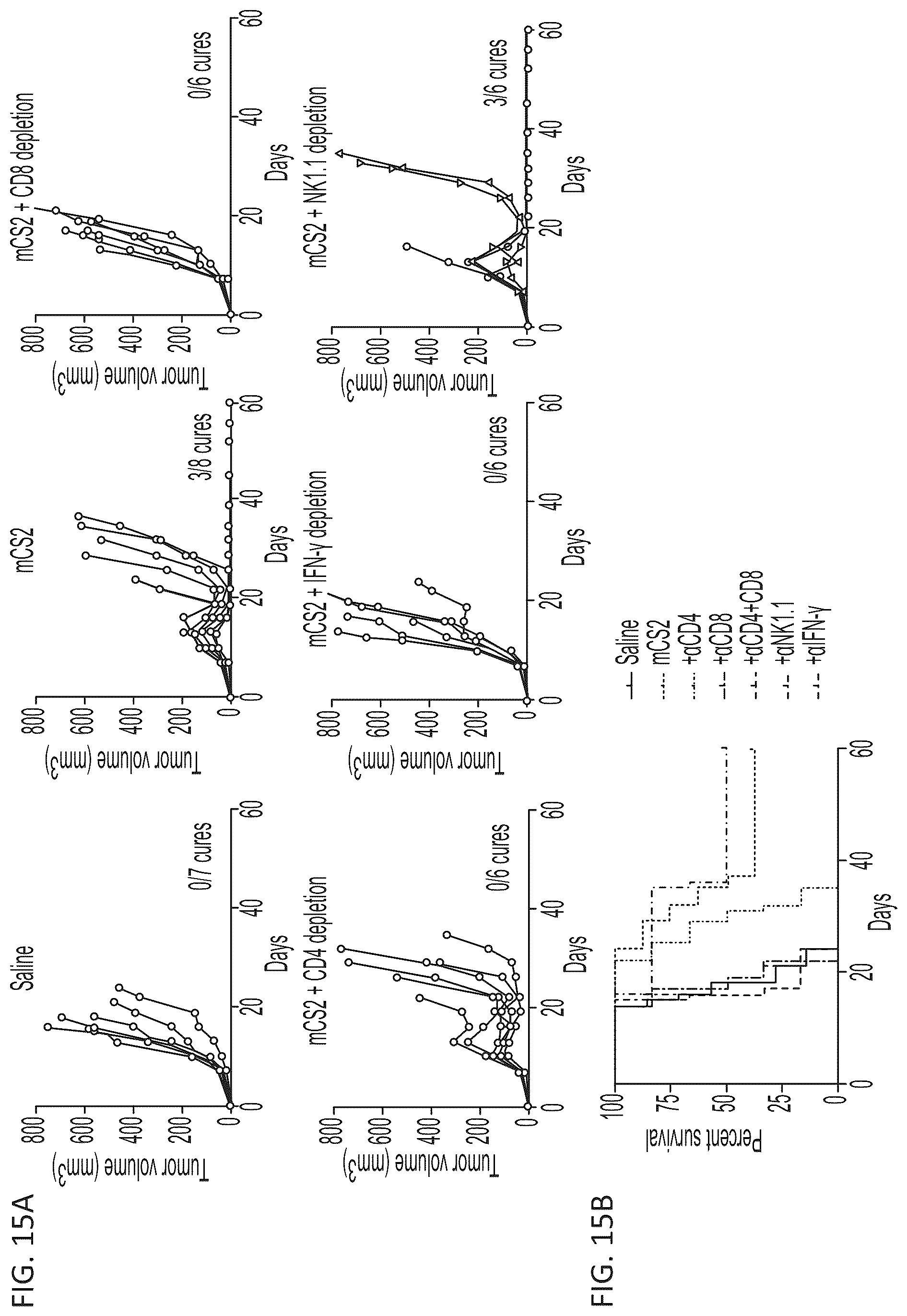 Patent US12564621 Figure 20 – Interleukin-18 variants and methods of use