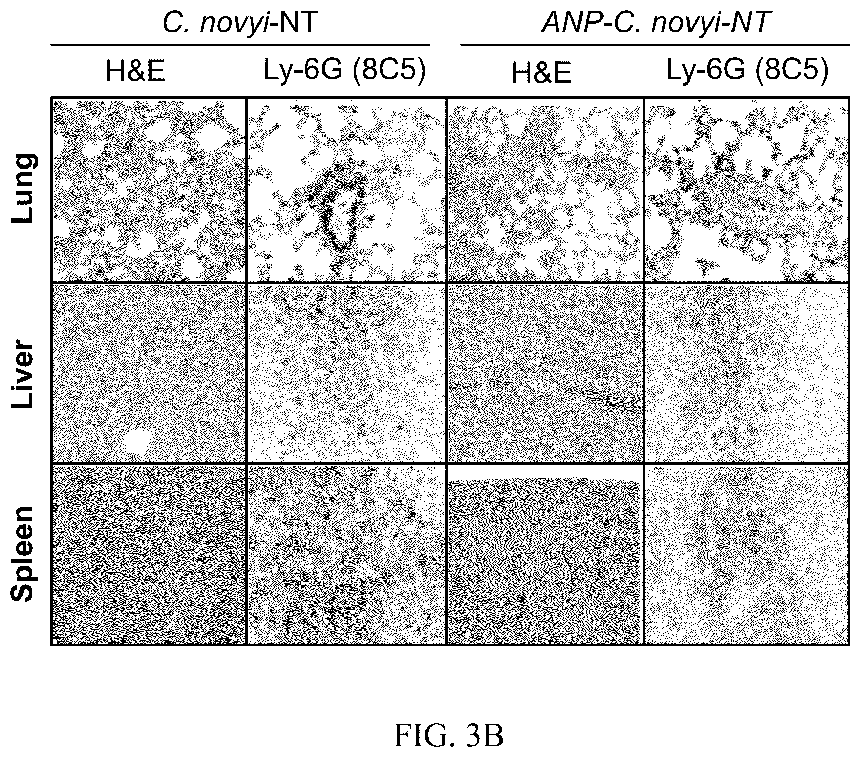 Patent US12564622 Figure 6 – Preventing cytokine release syndrome