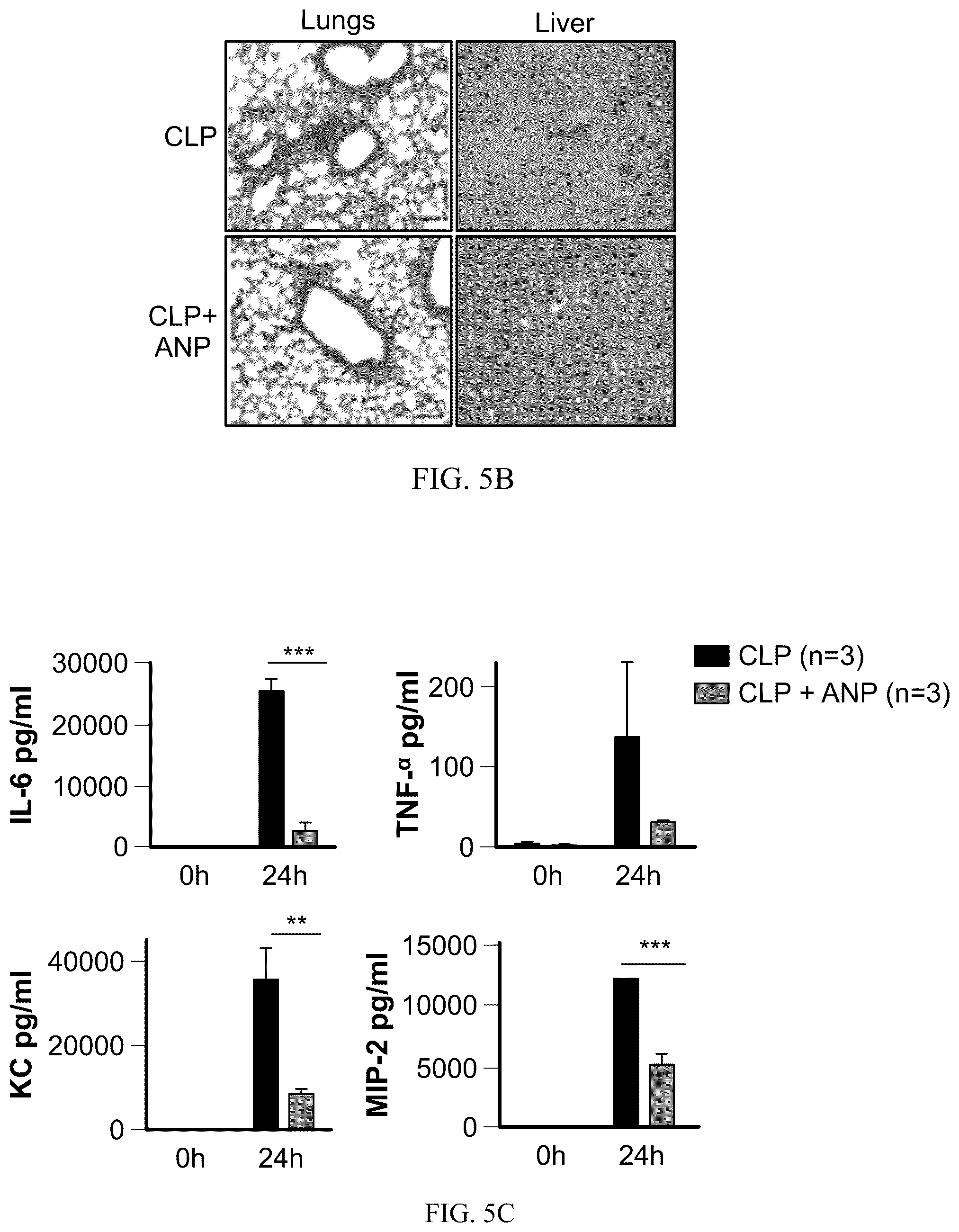 Patent US12564622 Figure 9 – Preventing cytokine release syndrome